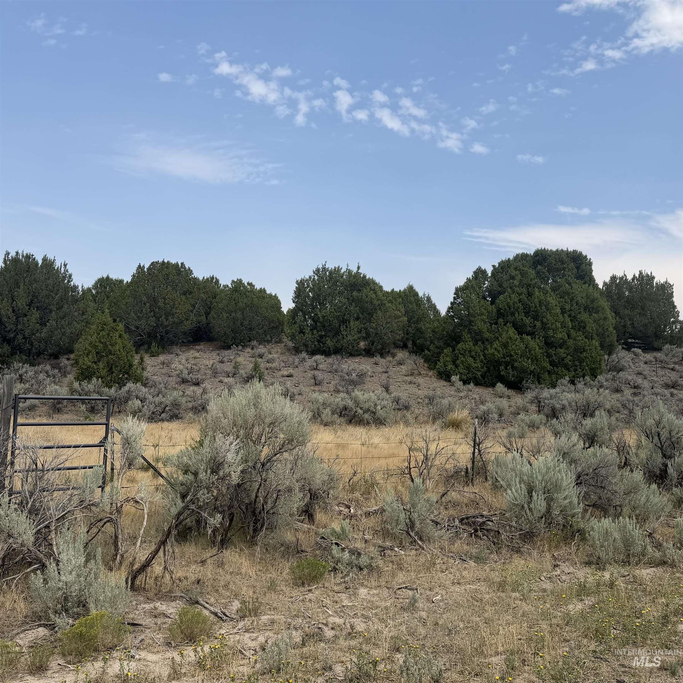 TBD 1950 S, Elba, Idaho 83342, Land For Sale, Price $175,000,MLS 98996541