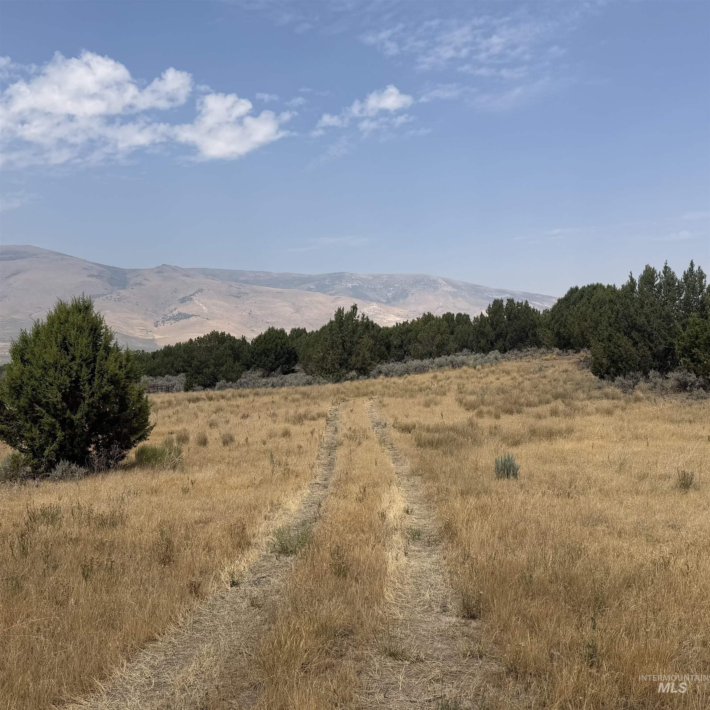 TBD 1950 S, Elba, Idaho 83342, Land For Sale, Price $175,000,MLS 98996541