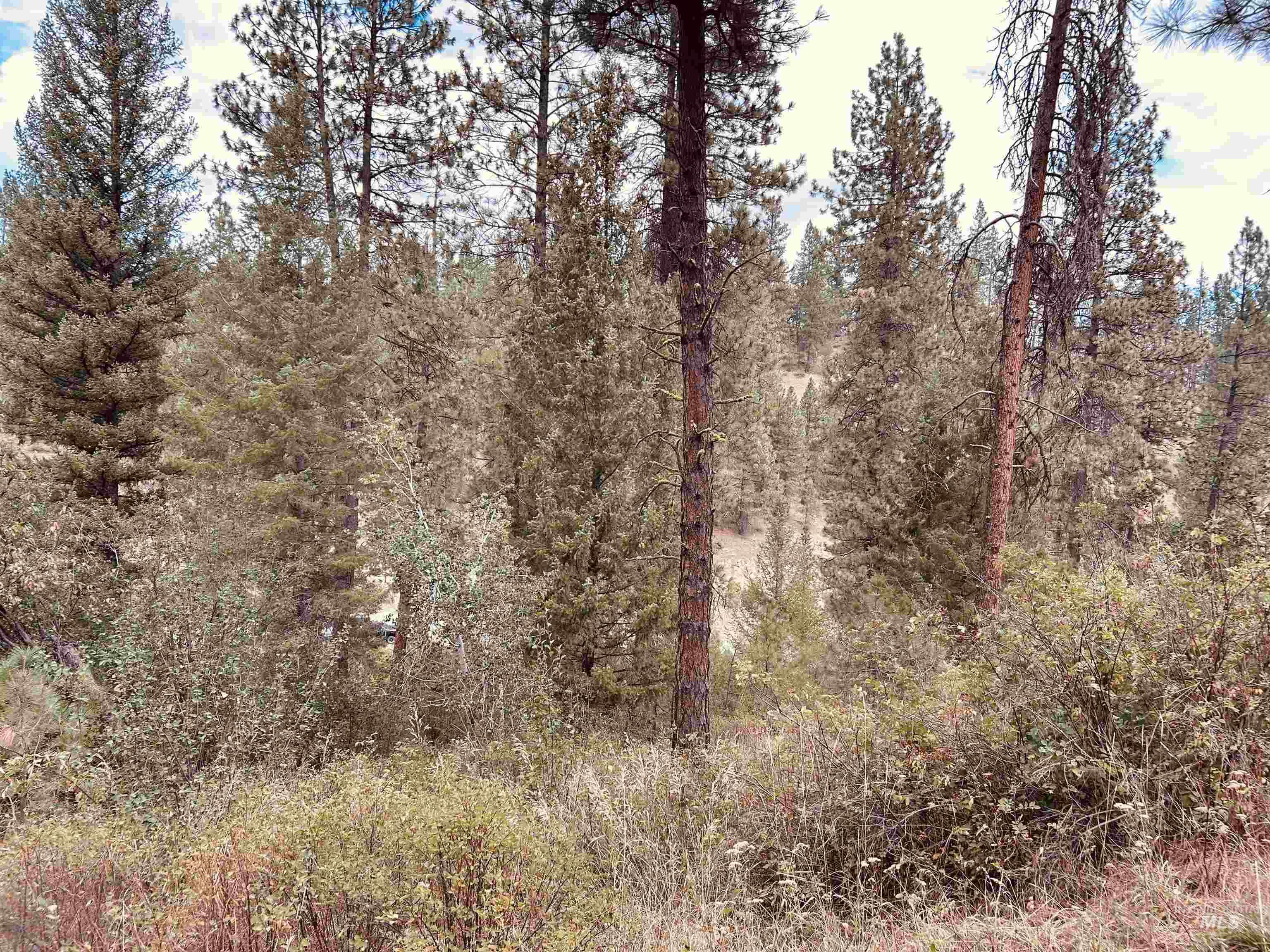 8 Klondike Road, Boise, Idaho 83716, Land For Sale, Price $200,000,MLS 98996554