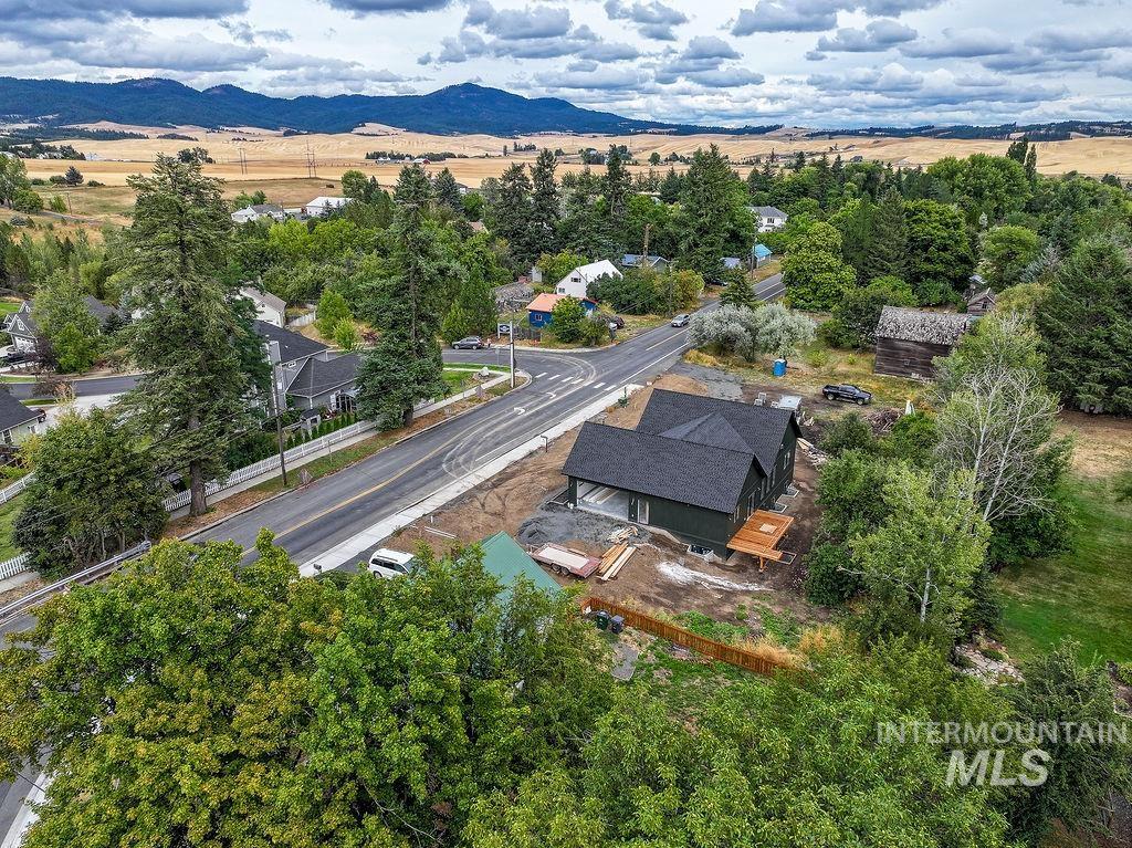 1062 N Mountain View, Moscow, Idaho 83843, 5 Bedrooms, 3 Bathrooms, Residential For Sale, Price $869,000,MLS 98996771
