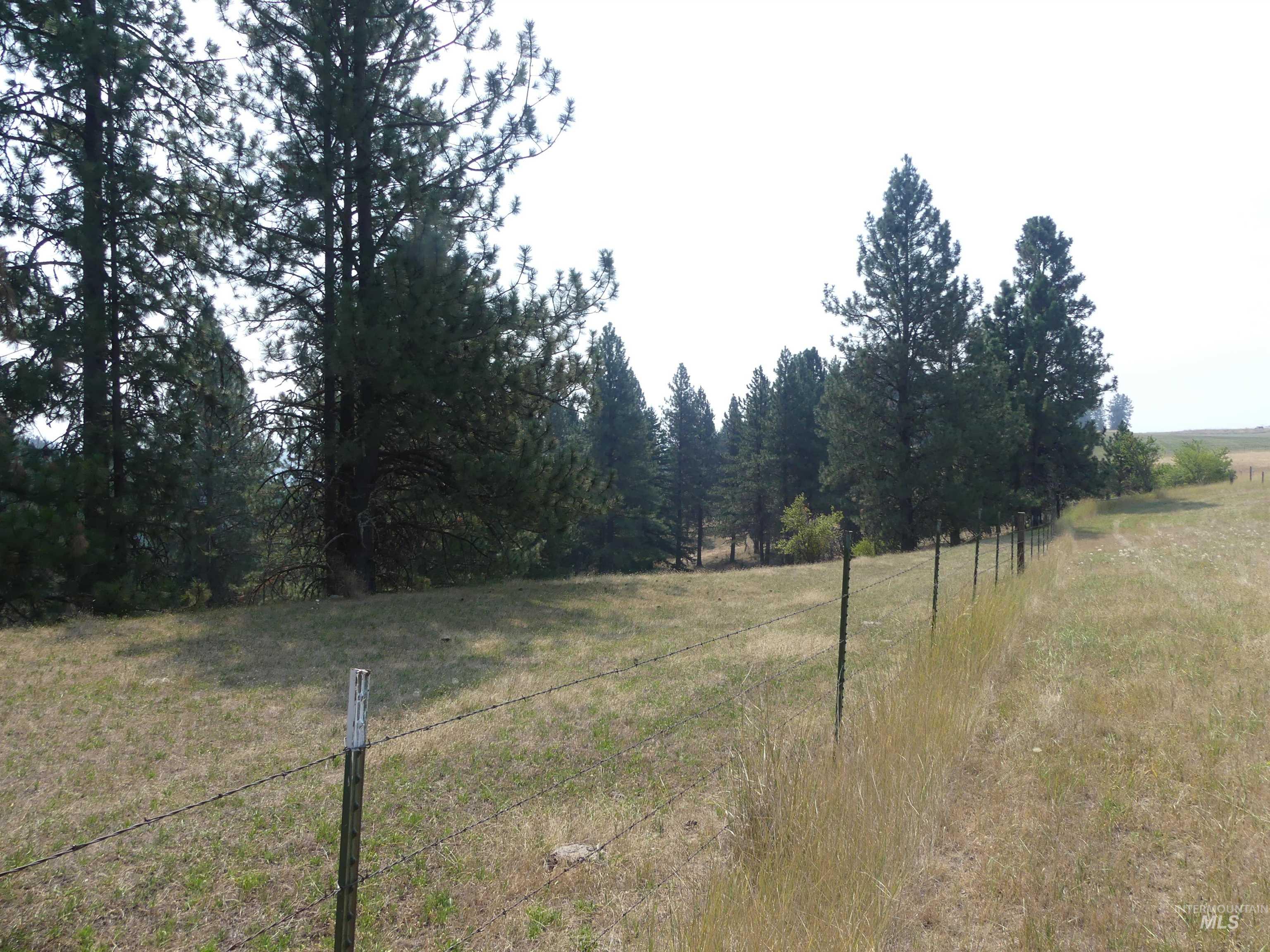45 Kim Place, Kamiah, Idaho 83536, Land For Sale, Price $149,000,MLS 98996877