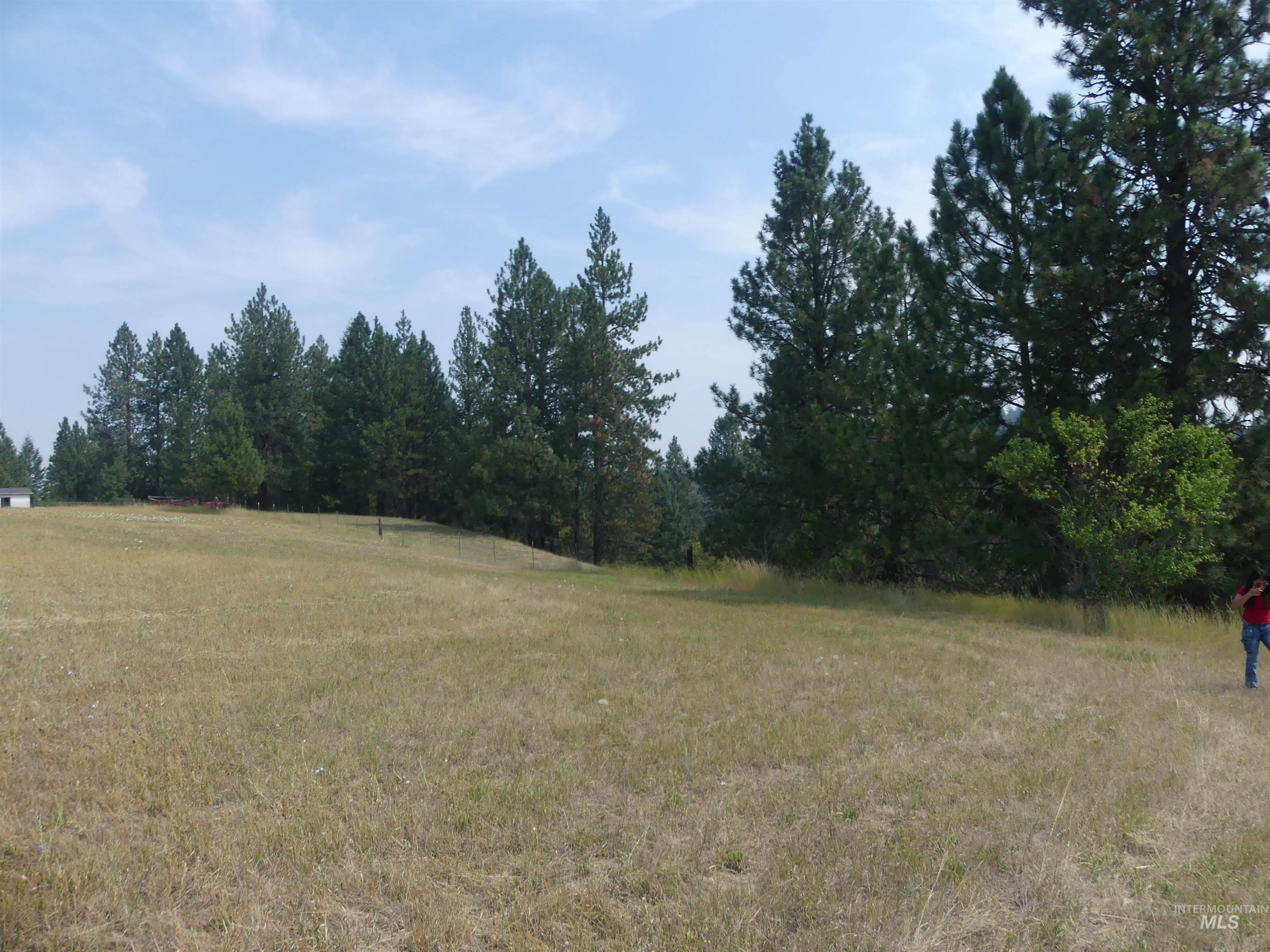 45 Kim Place, Kamiah, Idaho 83536, Land For Sale, Price $149,000,MLS 98996877