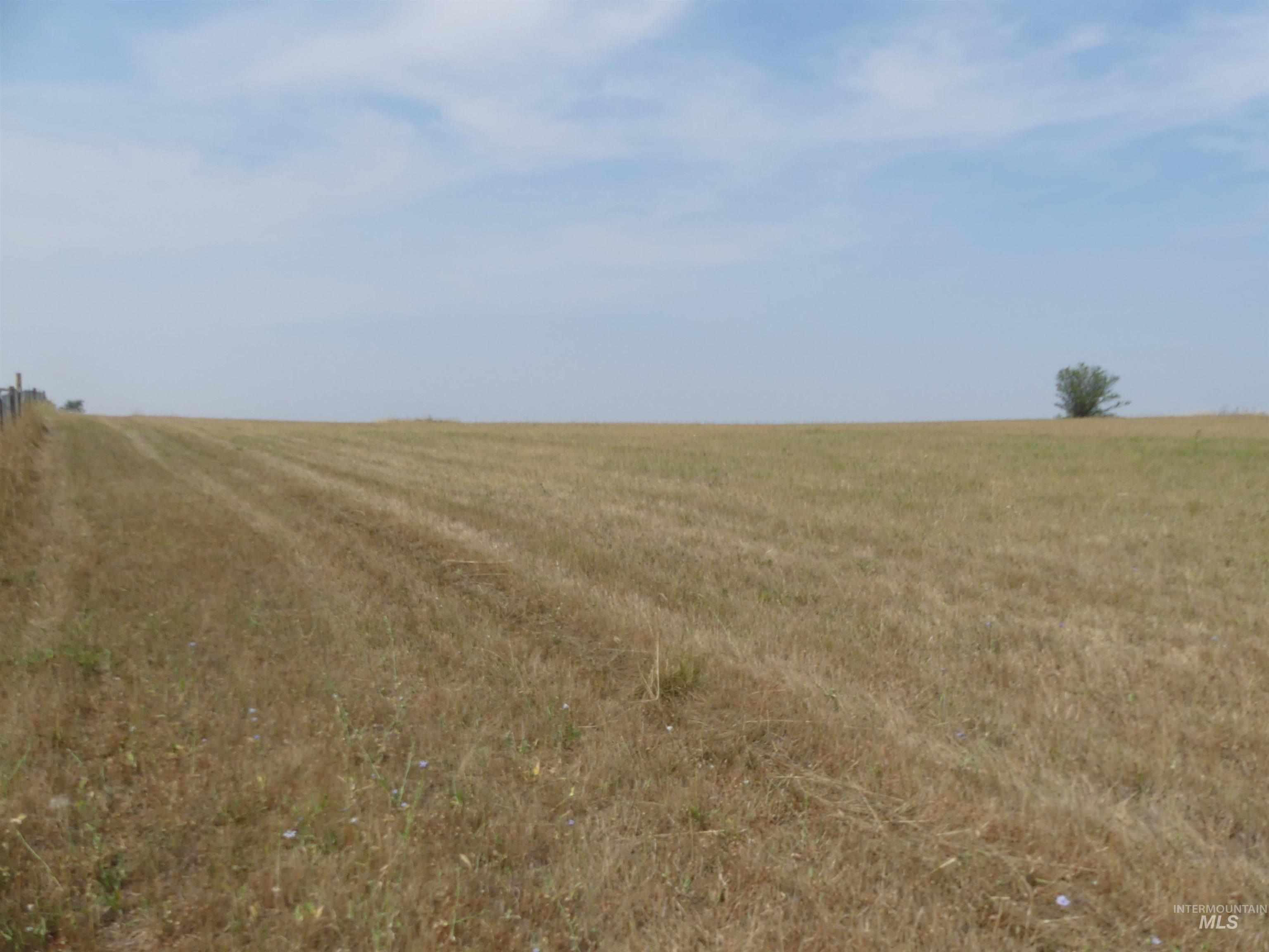 45 Kim Place, Kamiah, Idaho 83536, Land For Sale, Price $149,000,MLS 98996877