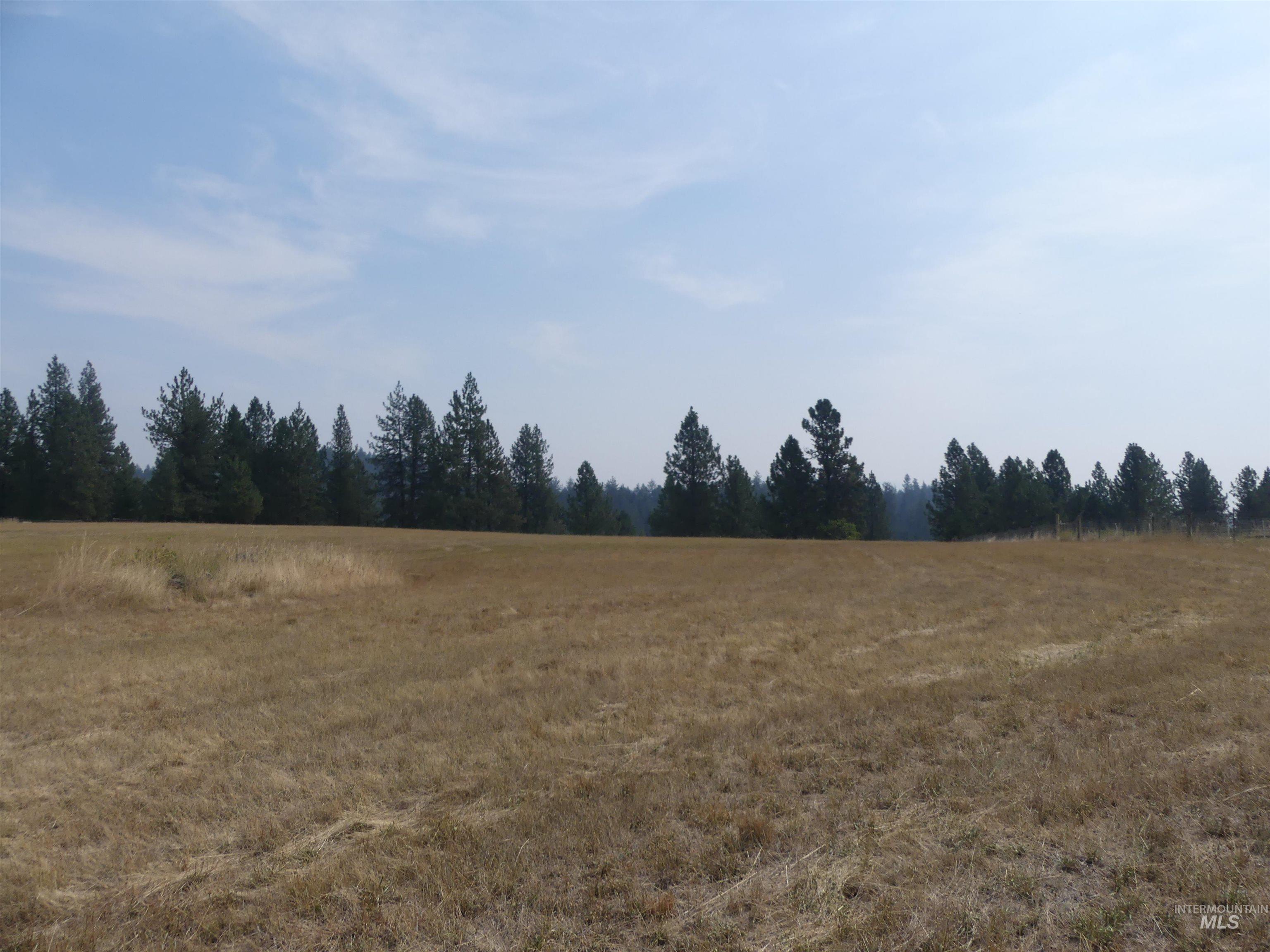 45 Kim Place, Kamiah, Idaho 83536, Land For Sale, Price $149,000,MLS 98996877