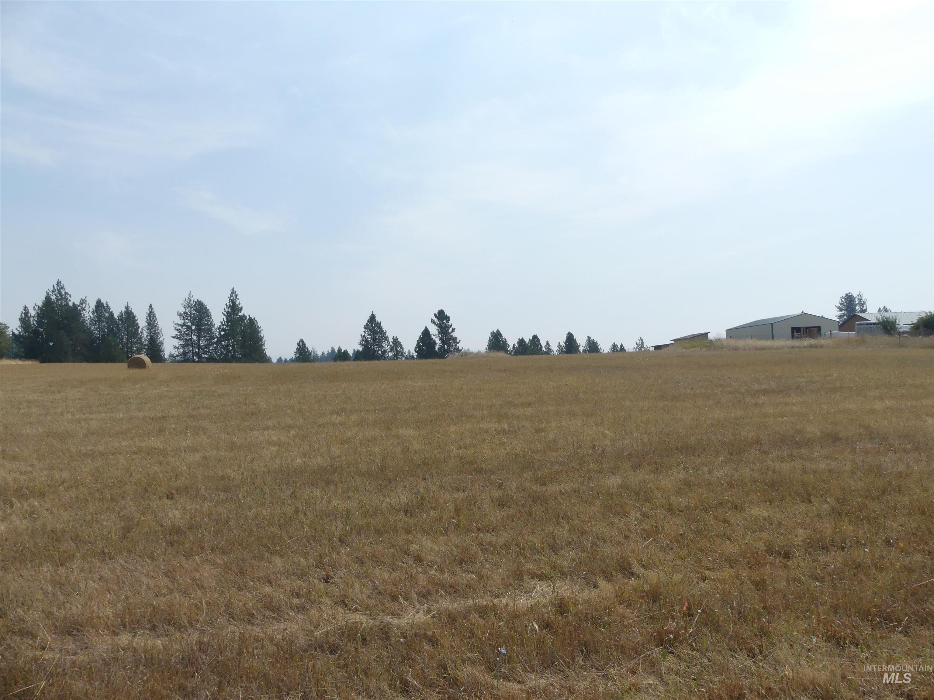 45 Kim Place, Kamiah, Idaho 83536, Land For Sale, Price $149,000,MLS 98996877