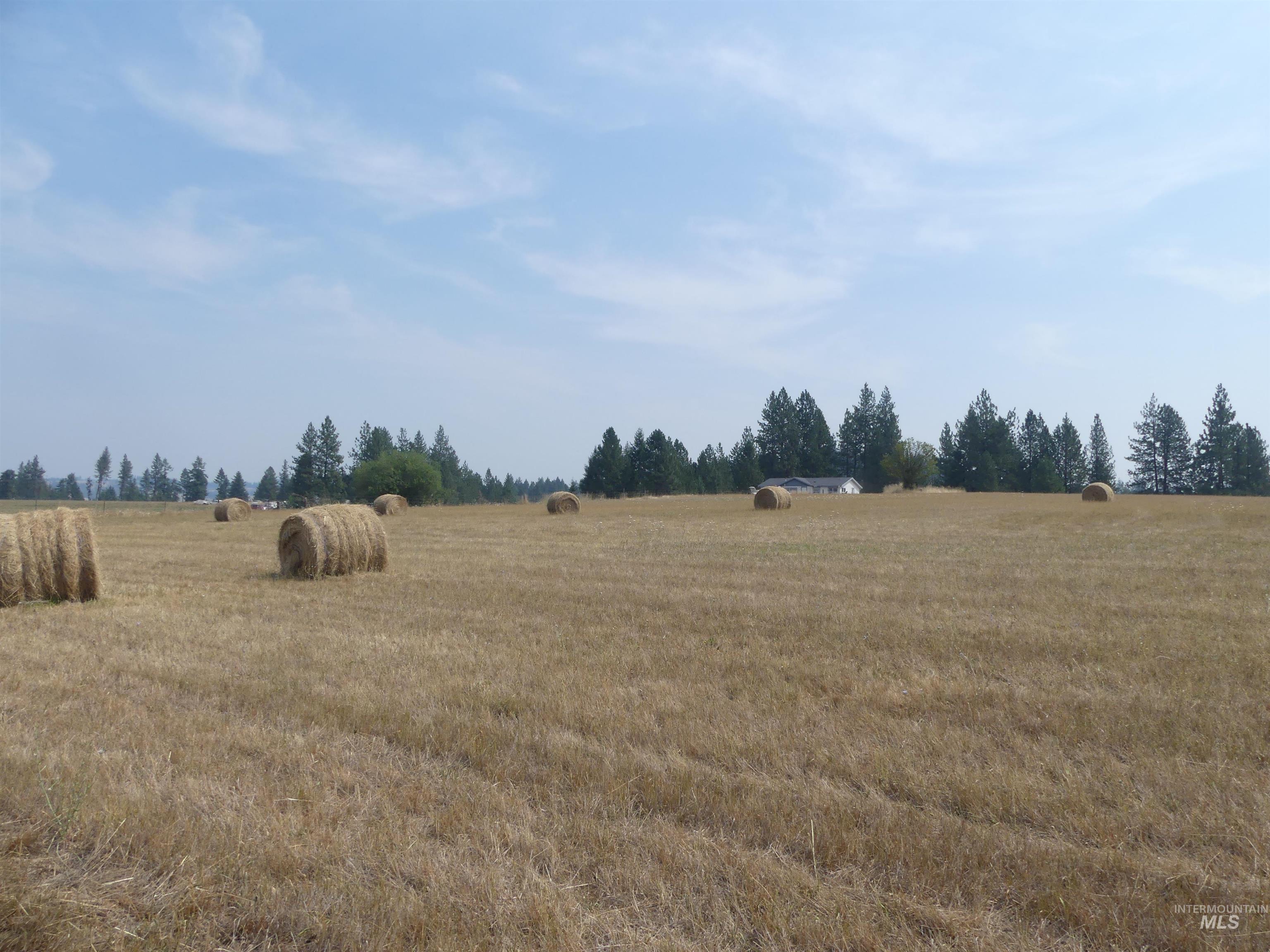45 Kim Place, Kamiah, Idaho 83536, Land For Sale, Price $149,000,MLS 98996877