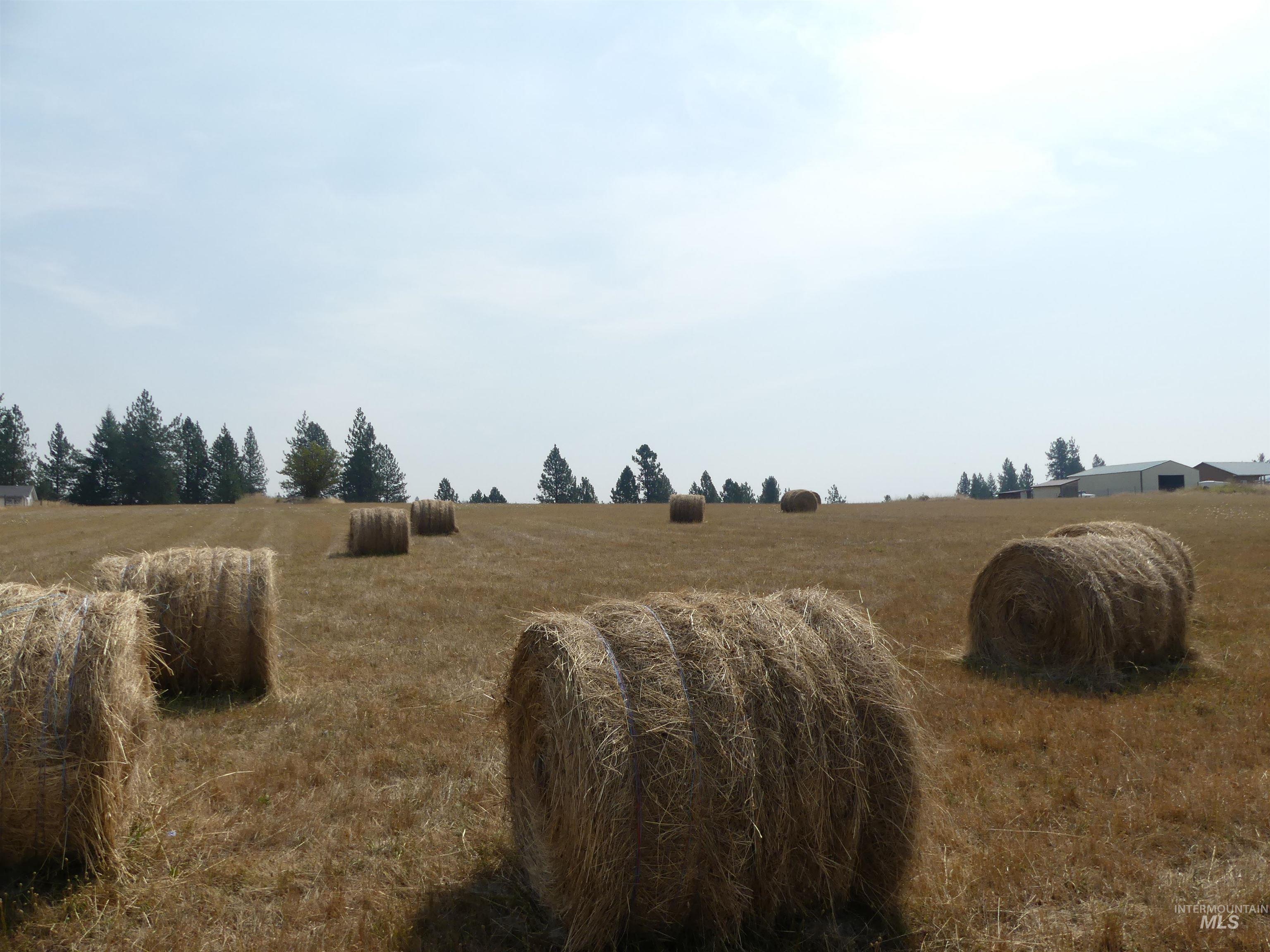 45 Kim Place, Kamiah, Idaho 83536, Land For Sale, Price $149,000,MLS 98996877