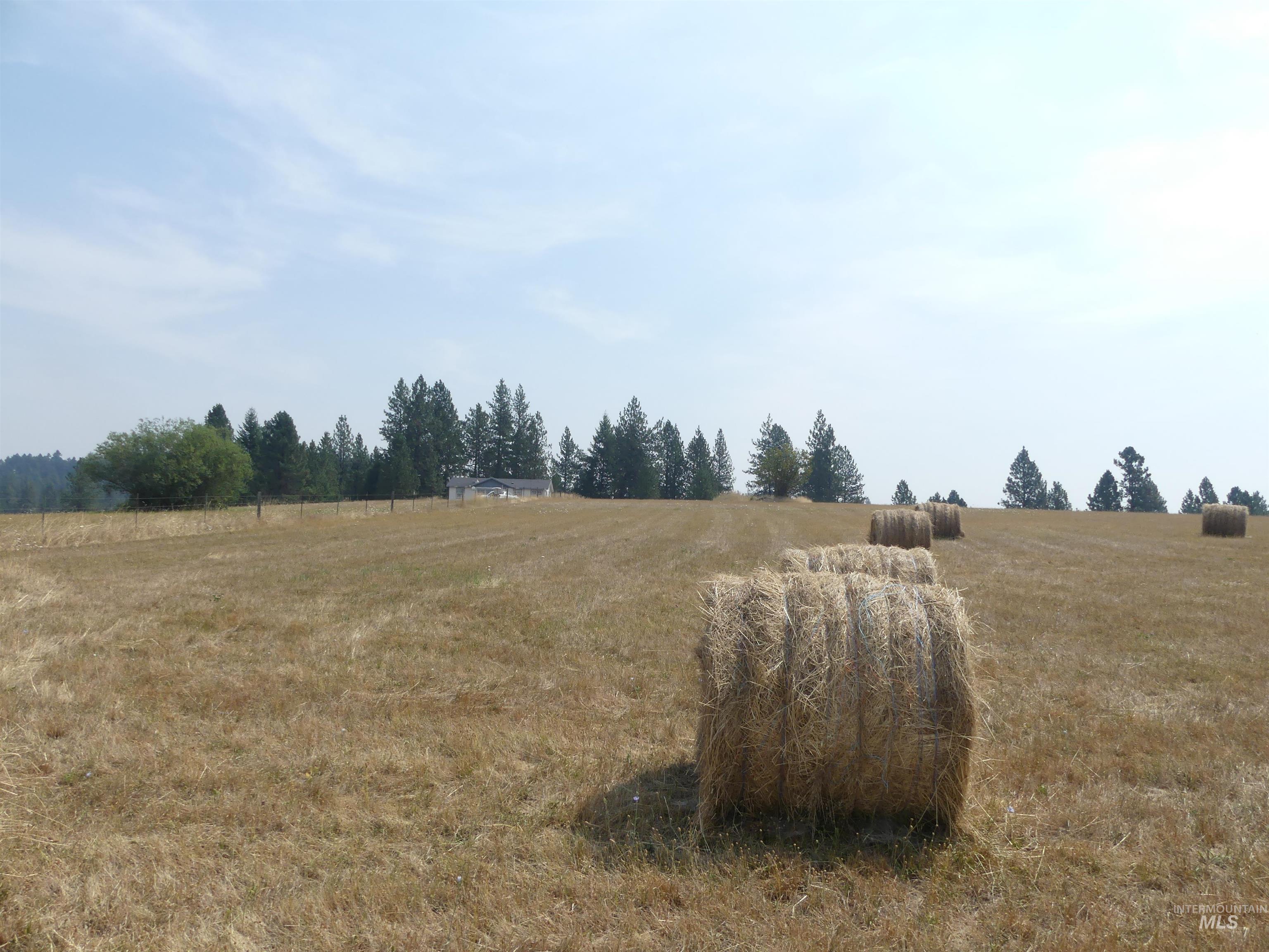 45 Kim Place, Kamiah, Idaho 83536, Land For Sale, Price $149,000,MLS 98996877