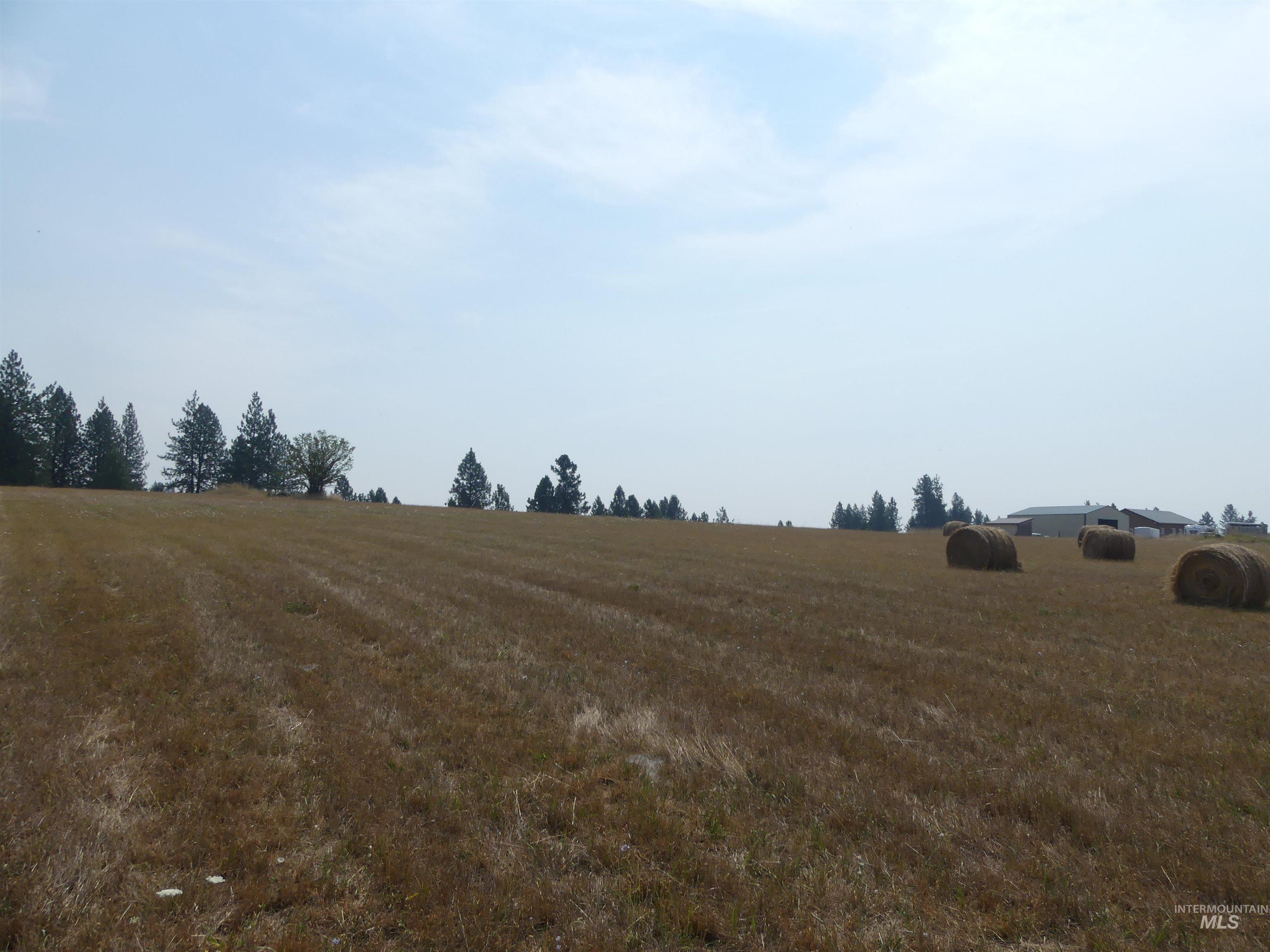 45 Kim Place, Kamiah, Idaho 83536, Land For Sale, Price $149,000,MLS 98996877