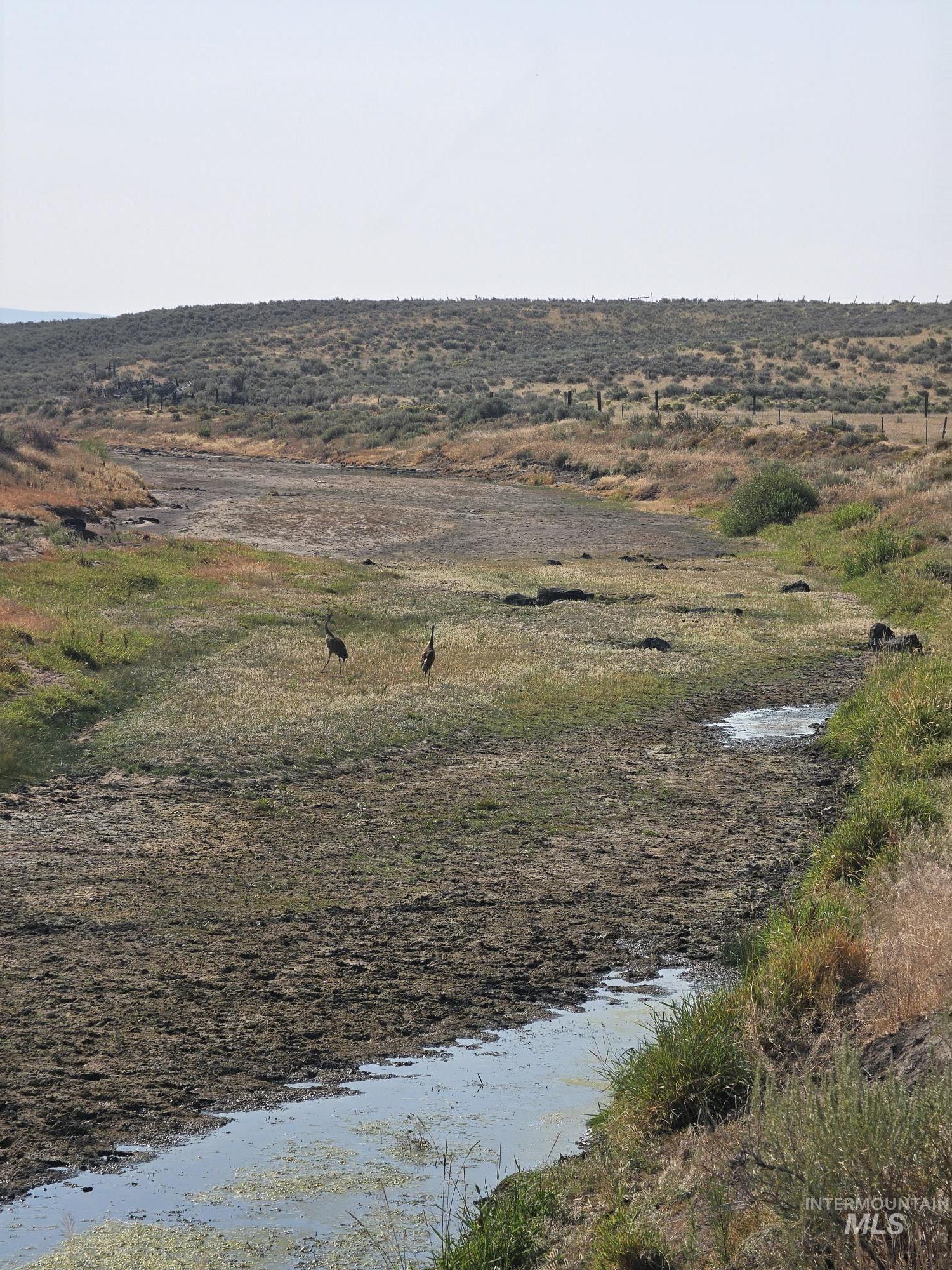 Aprox700 E S of Highway 20, Fairfield, Idaho 83327, Land For Sale, Price $500,000,MLS 98996886