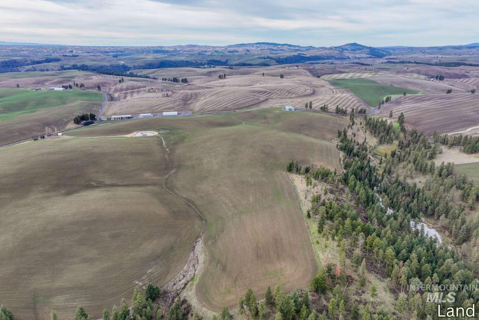 1040 Driscoll Ridge Rd, Troy, Idaho 83871, 4 Bedrooms, 3 Bathrooms, Farm & Ranch For Sale, Price $4,950,000, 98996933