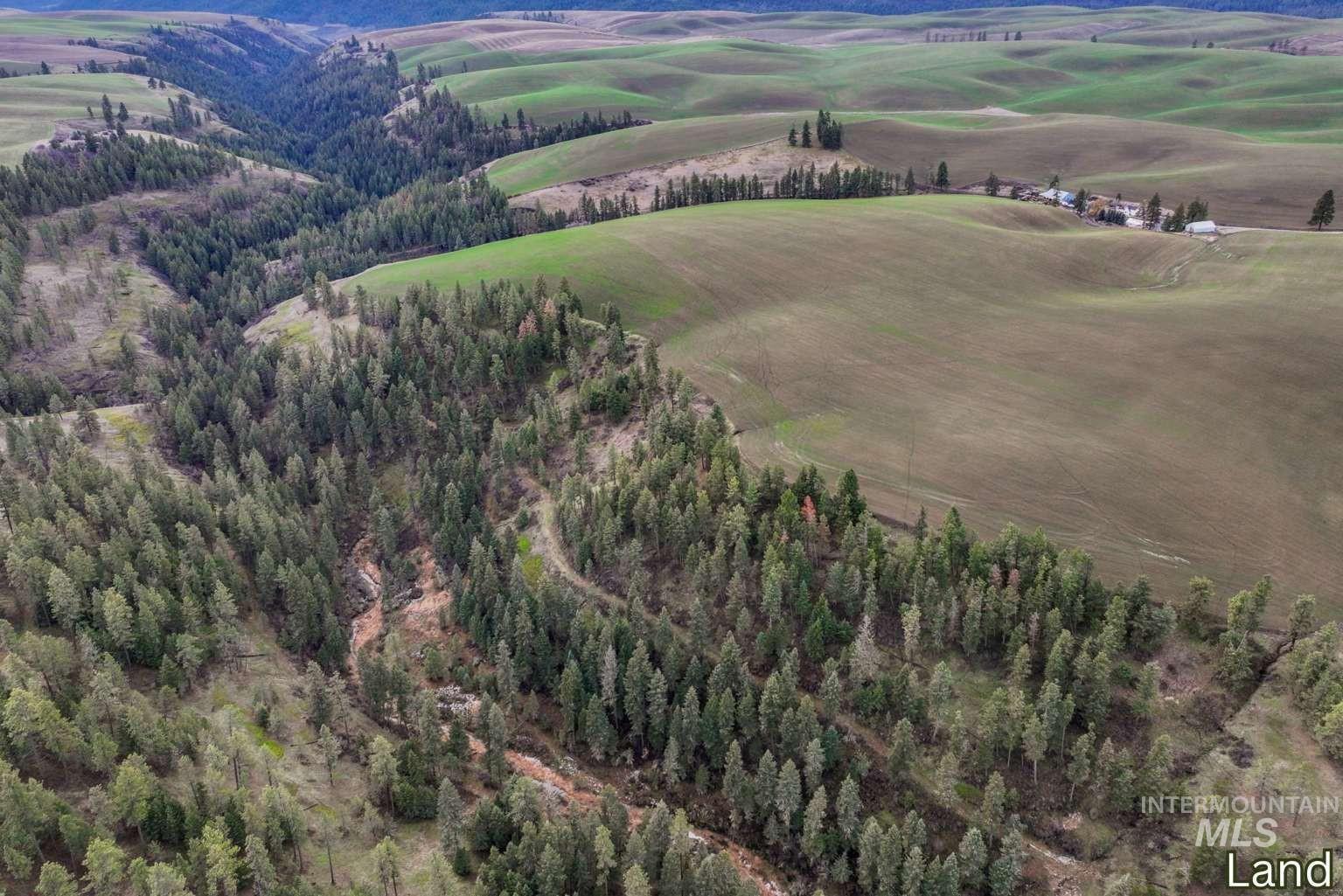 1040 Driscoll Ridge Rd, Troy, Idaho 83871, 4 Bedrooms, 3 Bathrooms, Farm & Ranch For Sale, Price $4,950,000, 98996933