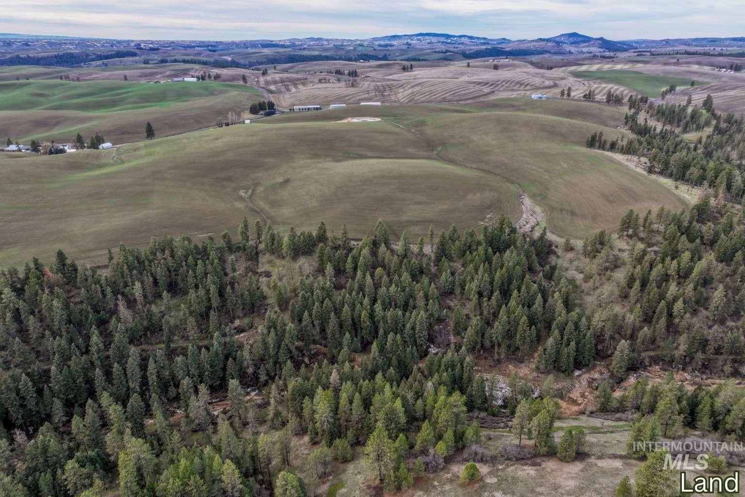1040 Driscoll Ridge Rd, Troy, Idaho 83871, 4 Bedrooms, 3 Bathrooms, Farm & Ranch For Sale, Price $4,950,000, 98996933
