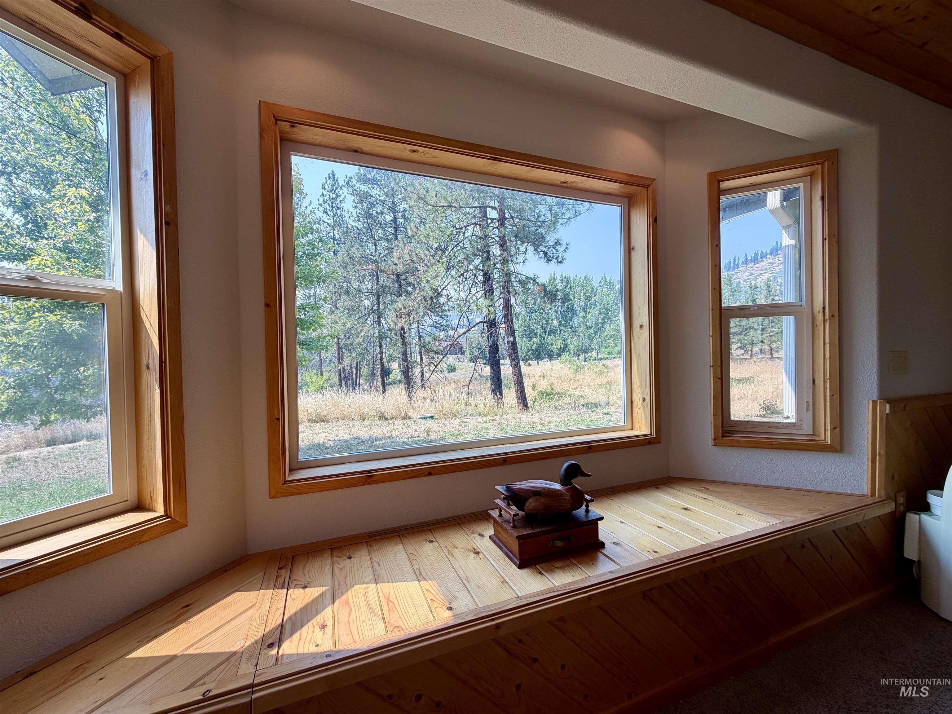 254 Larradon Drive, Kamiah, Idaho 83536, 3 Bedrooms, 2 Bathrooms, Residential For Sale, Price $535,000,MLS 98997031