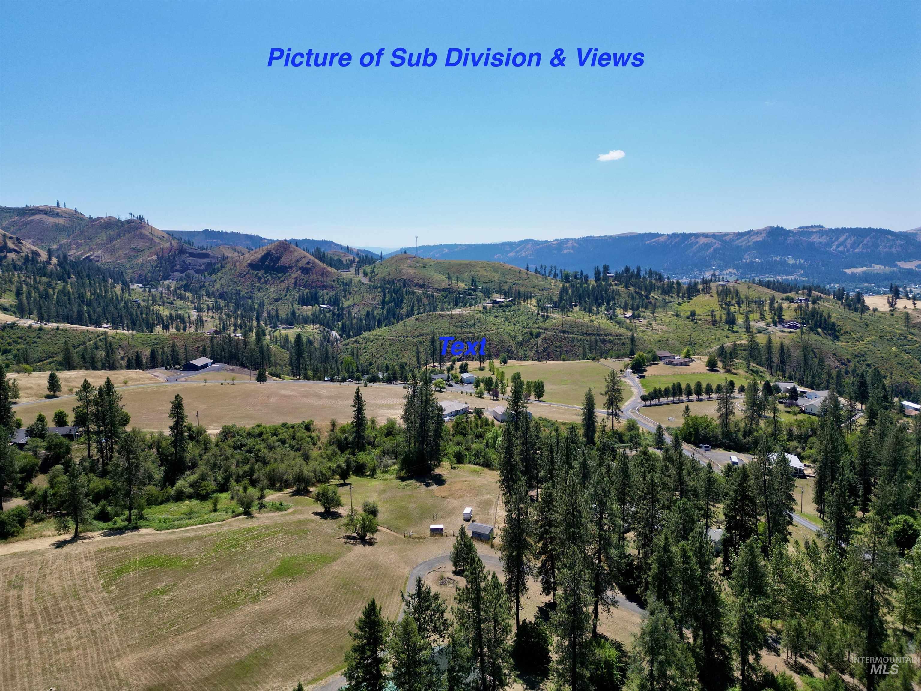 254 Larradon Drive, Kamiah, Idaho 83536, 3 Bedrooms, 2 Bathrooms, Residential For Sale, Price $535,000,MLS 98997031