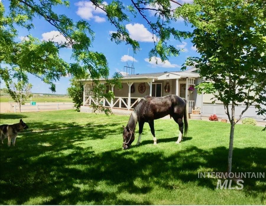 7001 S Robinson Rd, Melba, Idaho 83641, 3 Bedrooms, 2 Bathrooms, Residential For Sale, Price $650,000,MLS 98997078