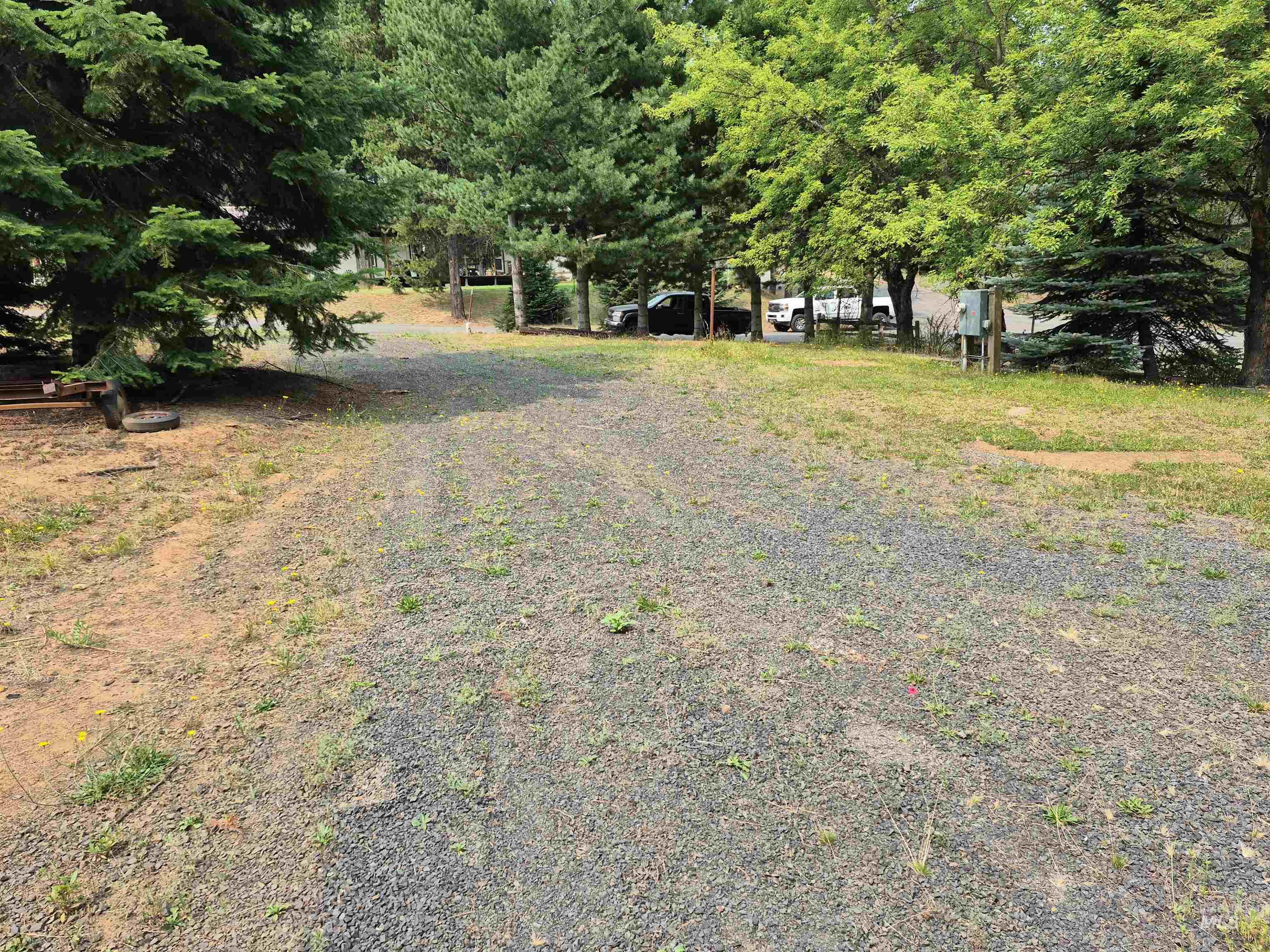 TBD Cottonwood Ave, Pierce, Idaho 83546, Land For Sale, Price $79,000,MLS 98997079