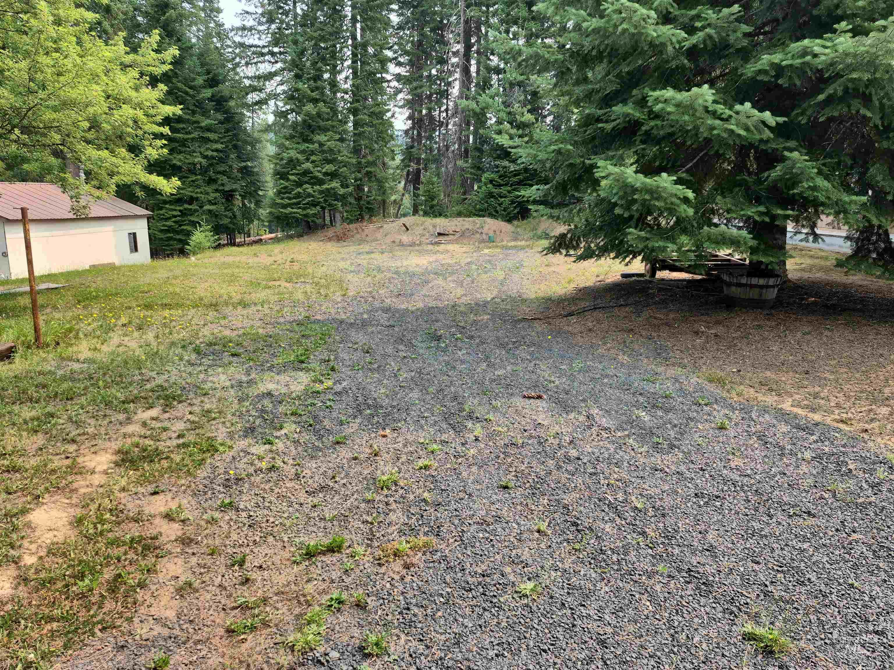 TBD Cottonwood Ave, Pierce, Idaho 83546, Land For Sale, Price $79,000,MLS 98997079