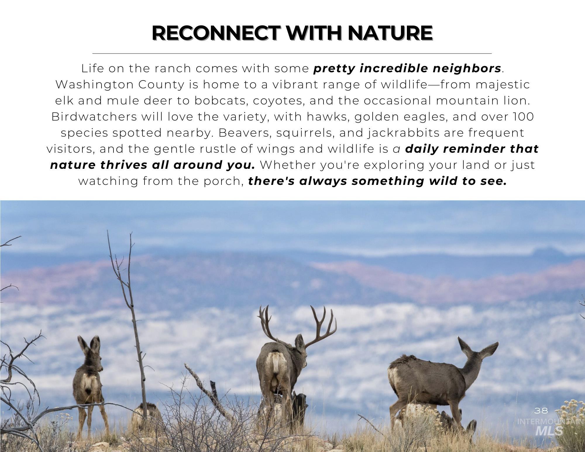 TBD Bonner Road, Midvale, Idaho 83645, Land For Sale, Price $1,200,000,MLS 98997155