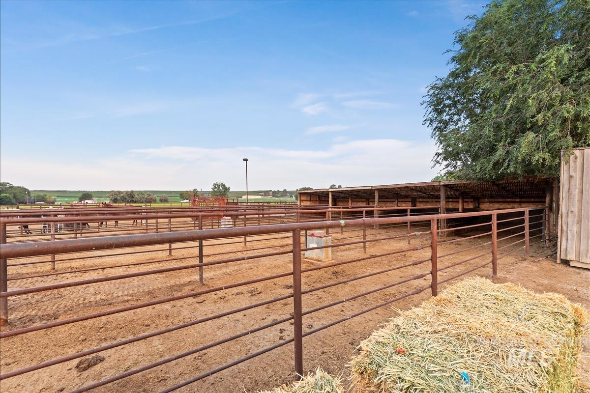 6750 Gold Buckle Way, Marsing, Idaho 83639, 4 Bedrooms, 2 Bathrooms, Residential For Sale, Price $1,575,000,MLS 98997160