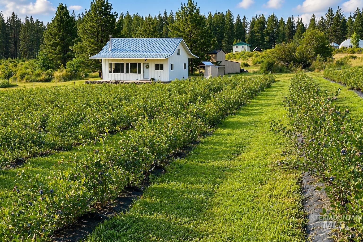 110 Abiding Way, Kooskia, Idaho 83536, 3 Bedrooms, 2 Bathrooms, Residential For Sale, Price $495,000, 98997191
