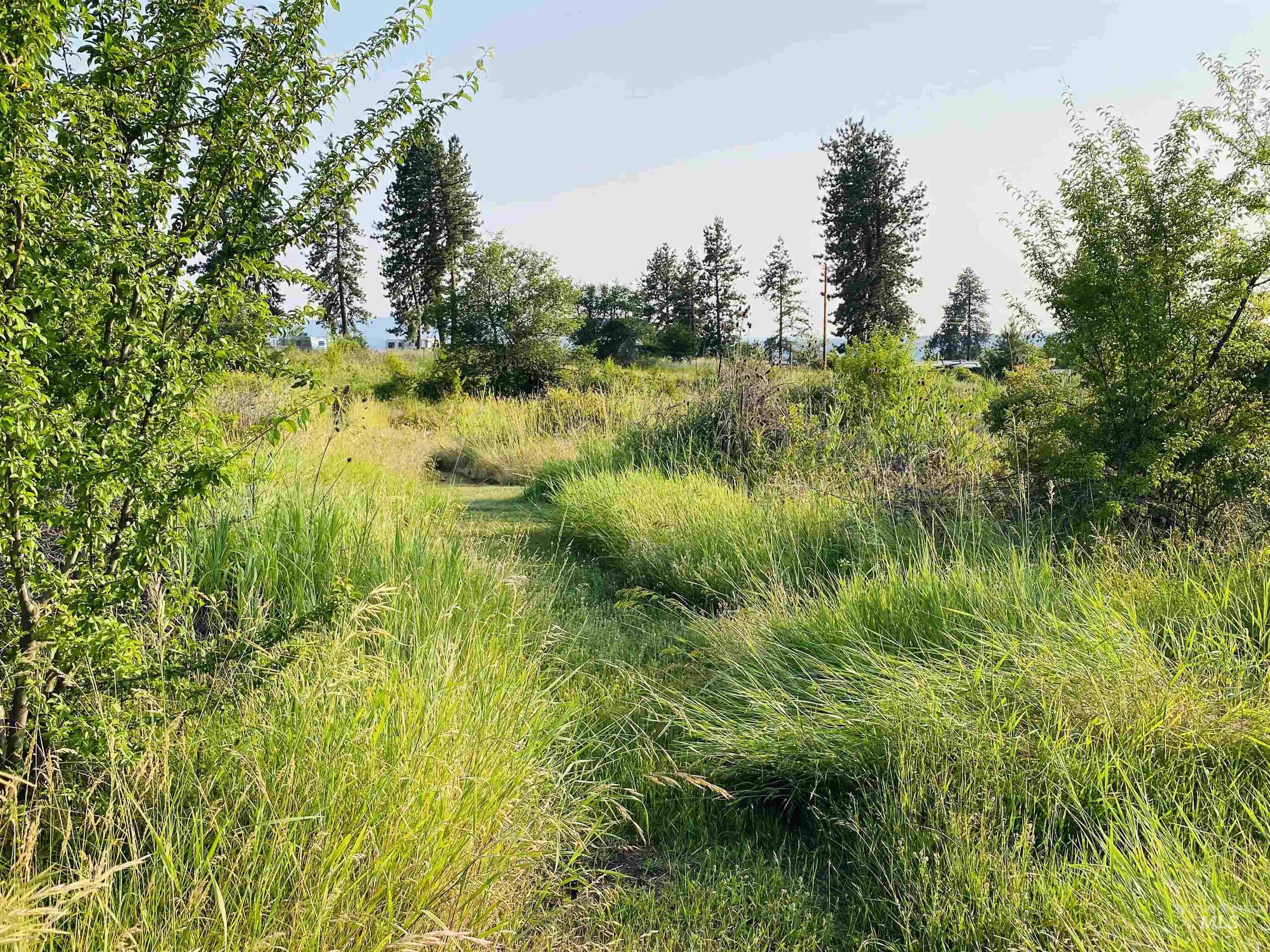 110 Abiding Way, Kooskia, Idaho 83536, 3 Bedrooms, 2 Bathrooms, Residential For Sale, Price $495,000,MLS 98997191