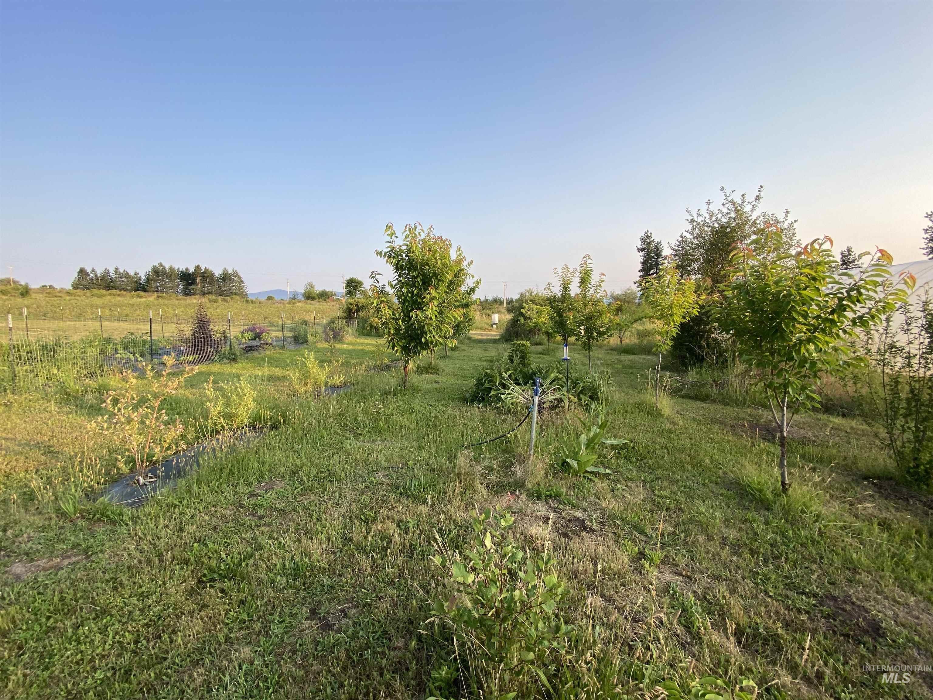 110 Abiding Way, Kooskia, Idaho 83536, 3 Bedrooms, 2 Bathrooms, Residential For Sale, Price $495,000,MLS 98997191