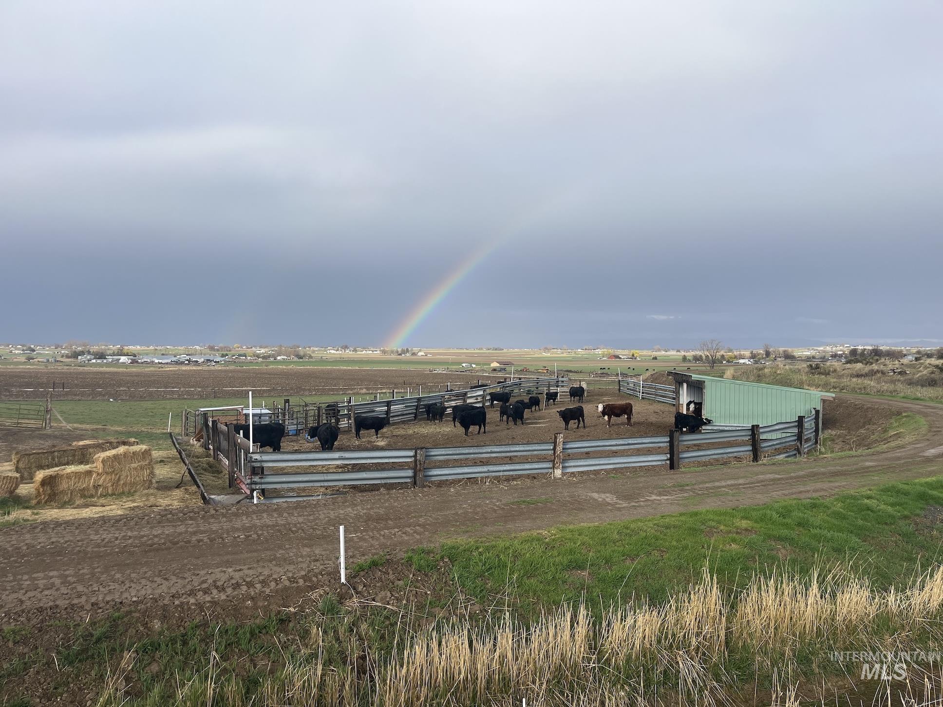 6712 Stage Coach Rd, Nampa, Idaho 83686, 4 Bedrooms, 2 Bathrooms, Farm & Ranch For Sale, Price $1,675,000,MLS 98997243