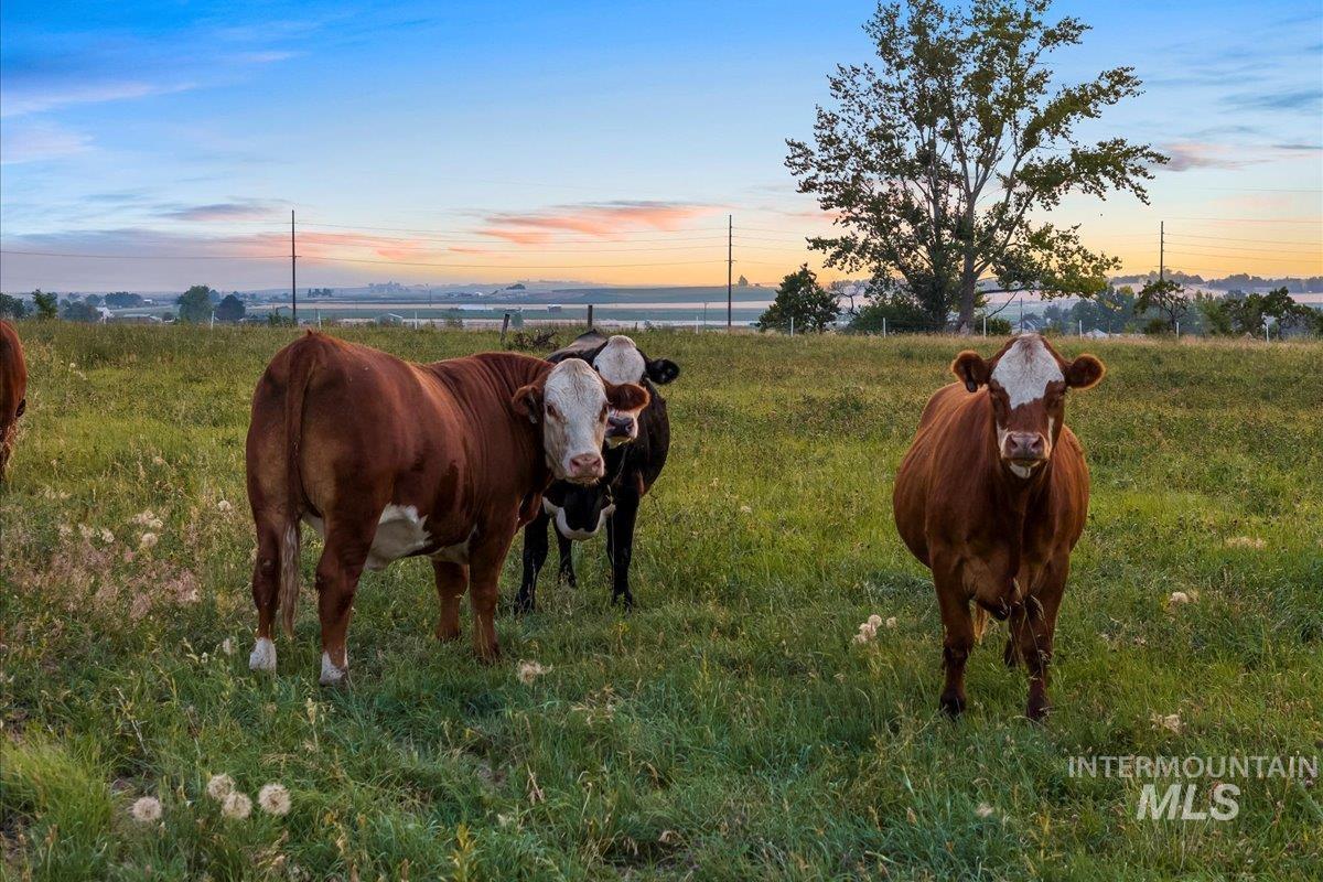 6712 Stage Coach Rd, Nampa, Idaho 83686, 4 Bedrooms, 2 Bathrooms, Farm & Ranch For Sale, Price $1,675,000,MLS 98997243