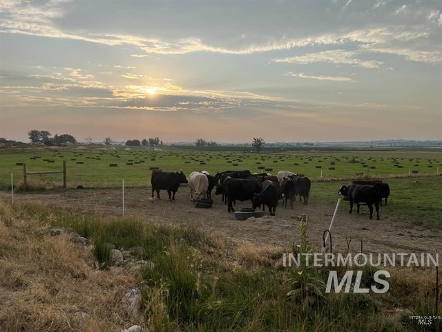 6712 Stage Coach Rd, Nampa, Idaho 83686, 4 Bedrooms, 2 Bathrooms, Farm & Ranch For Sale, Price $1,675,000,MLS 98997243