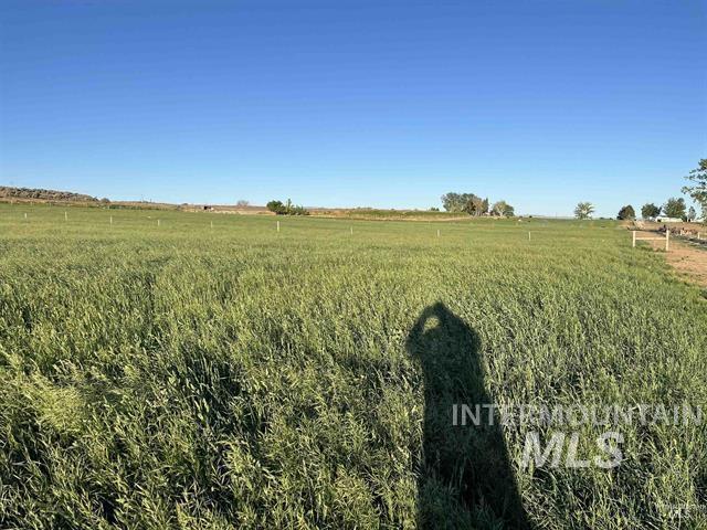 6712 Stage Coach Rd, Nampa, Idaho 83686, 4 Bedrooms, 2 Bathrooms, Farm & Ranch For Sale, Price $1,675,000,MLS 98997243