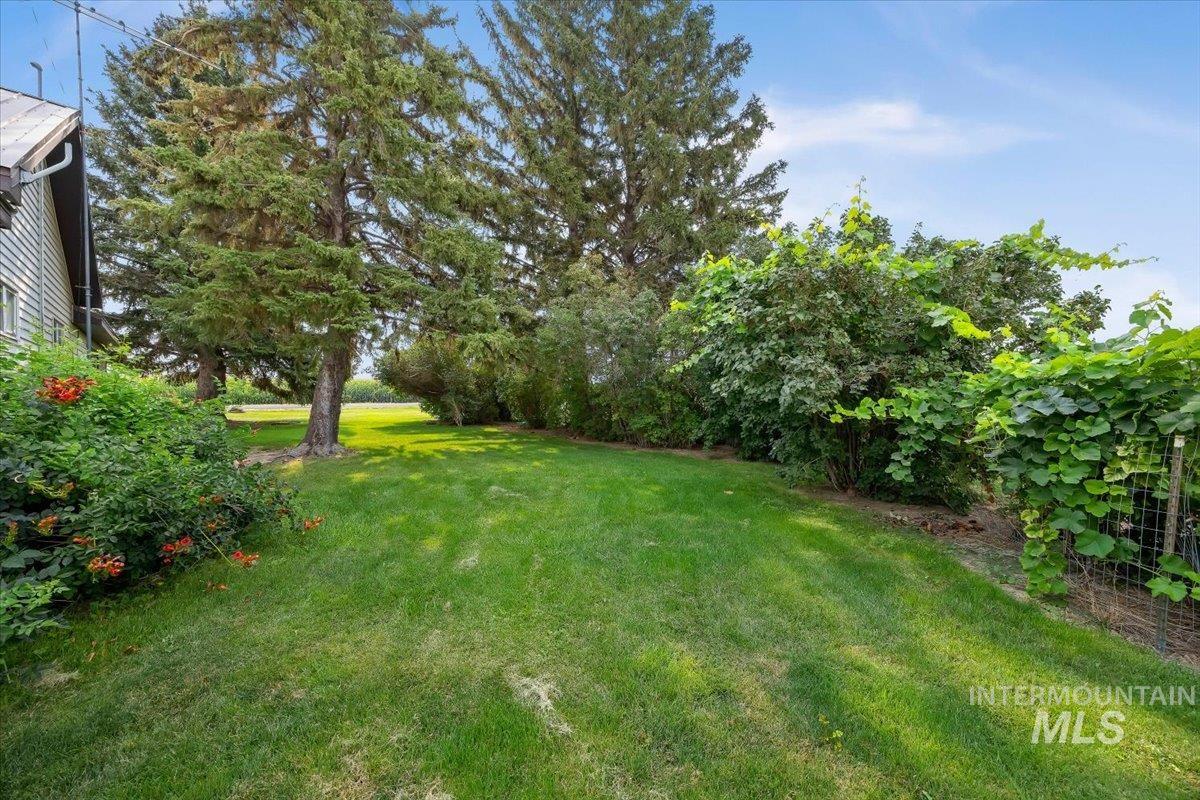 3395 N 3400, Kimberly, Idaho 83341, 3 Bedrooms, 2 Bathrooms, Residential For Sale, Price $585,000, 98997248