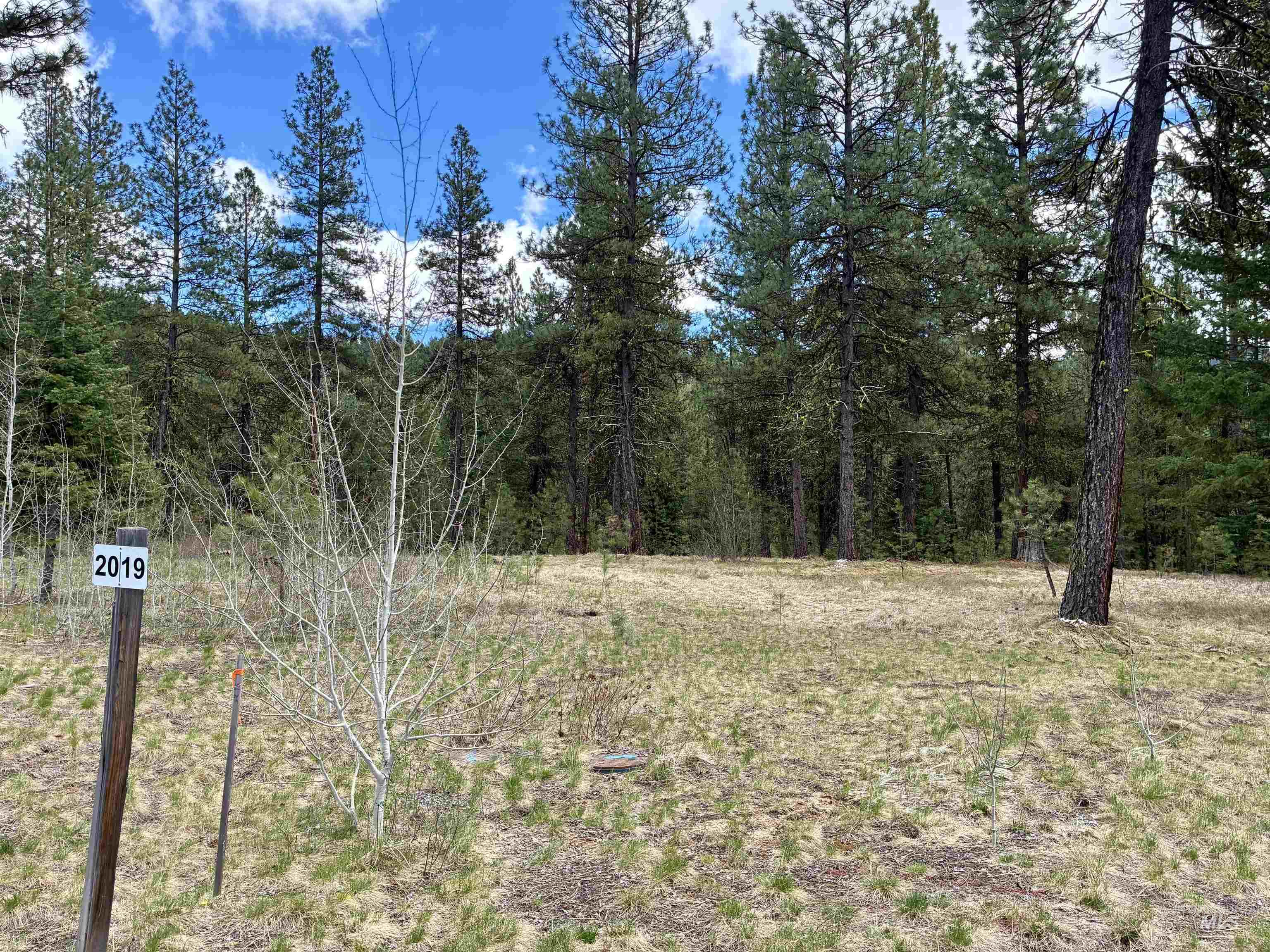 31 Vernon Ct, McCall, Idaho 83638, Land For Sale, Price $204,900,MLS 98997269