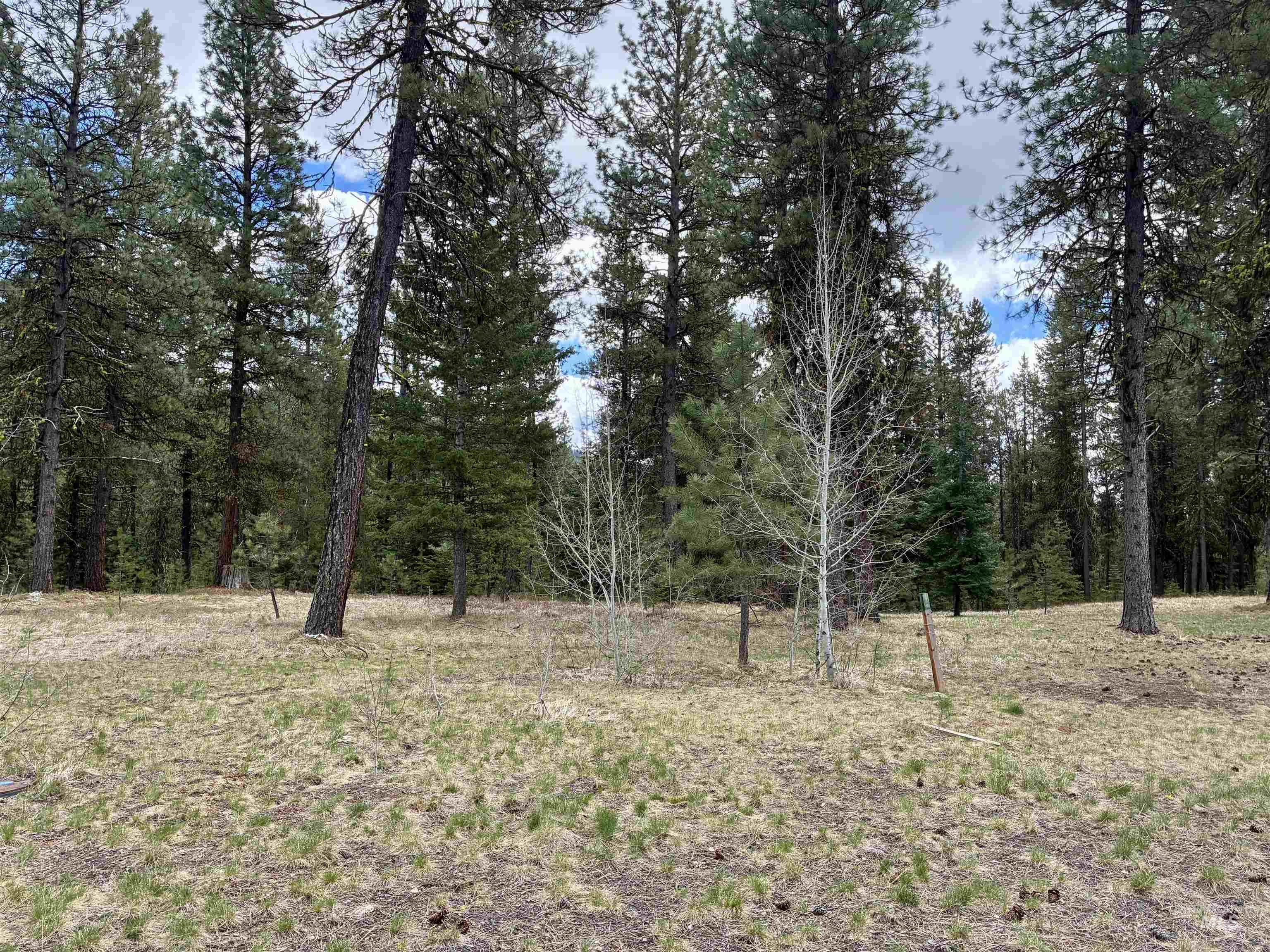 31 Vernon Ct, McCall, Idaho 83638, Land For Sale, Price $204,900,MLS 98997269