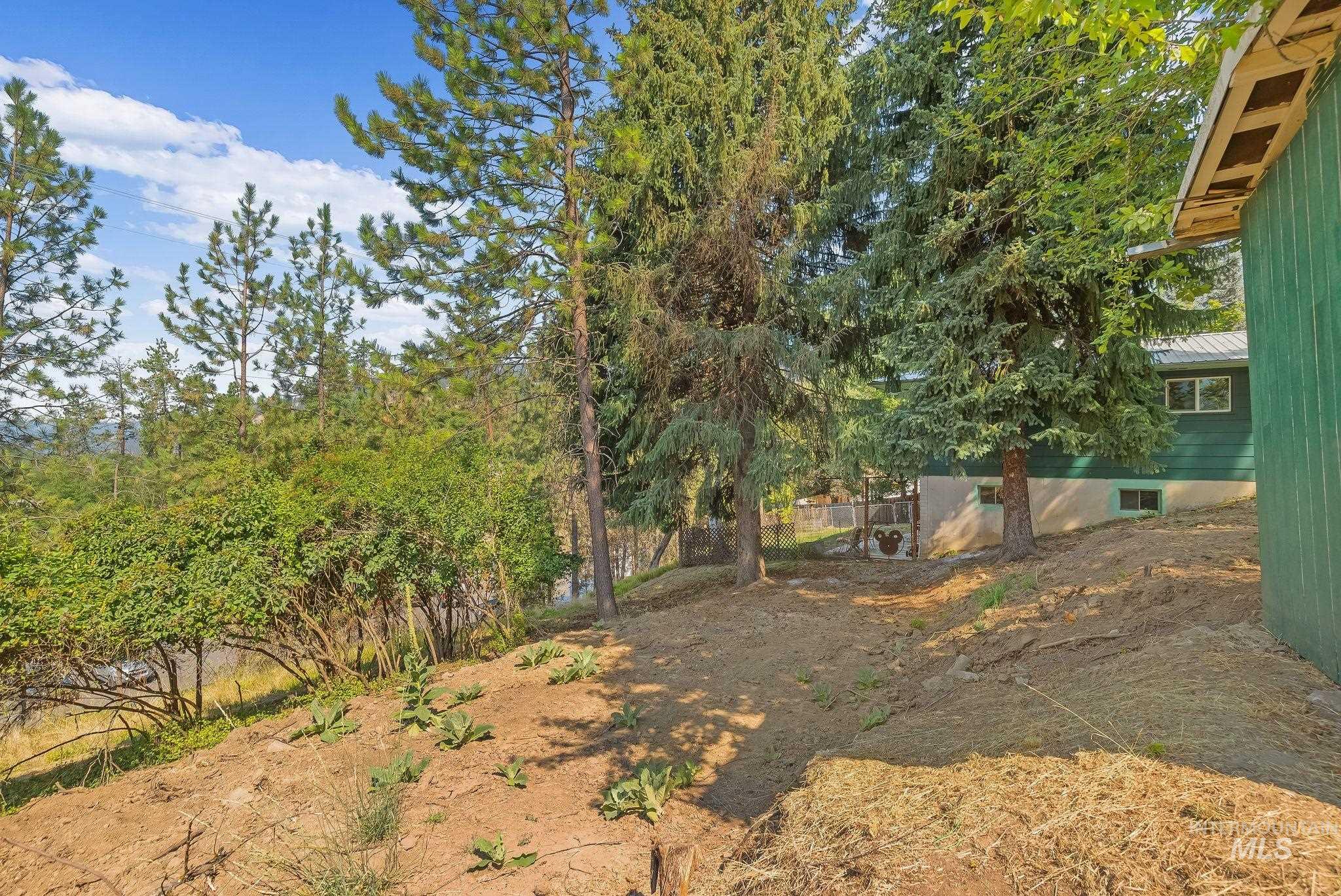804 Pine Drive Heights, Orofino, Idaho 83544, 4 Bedrooms, 2 Bathrooms, Residential For Sale, Price $349,000,MLS 98997346