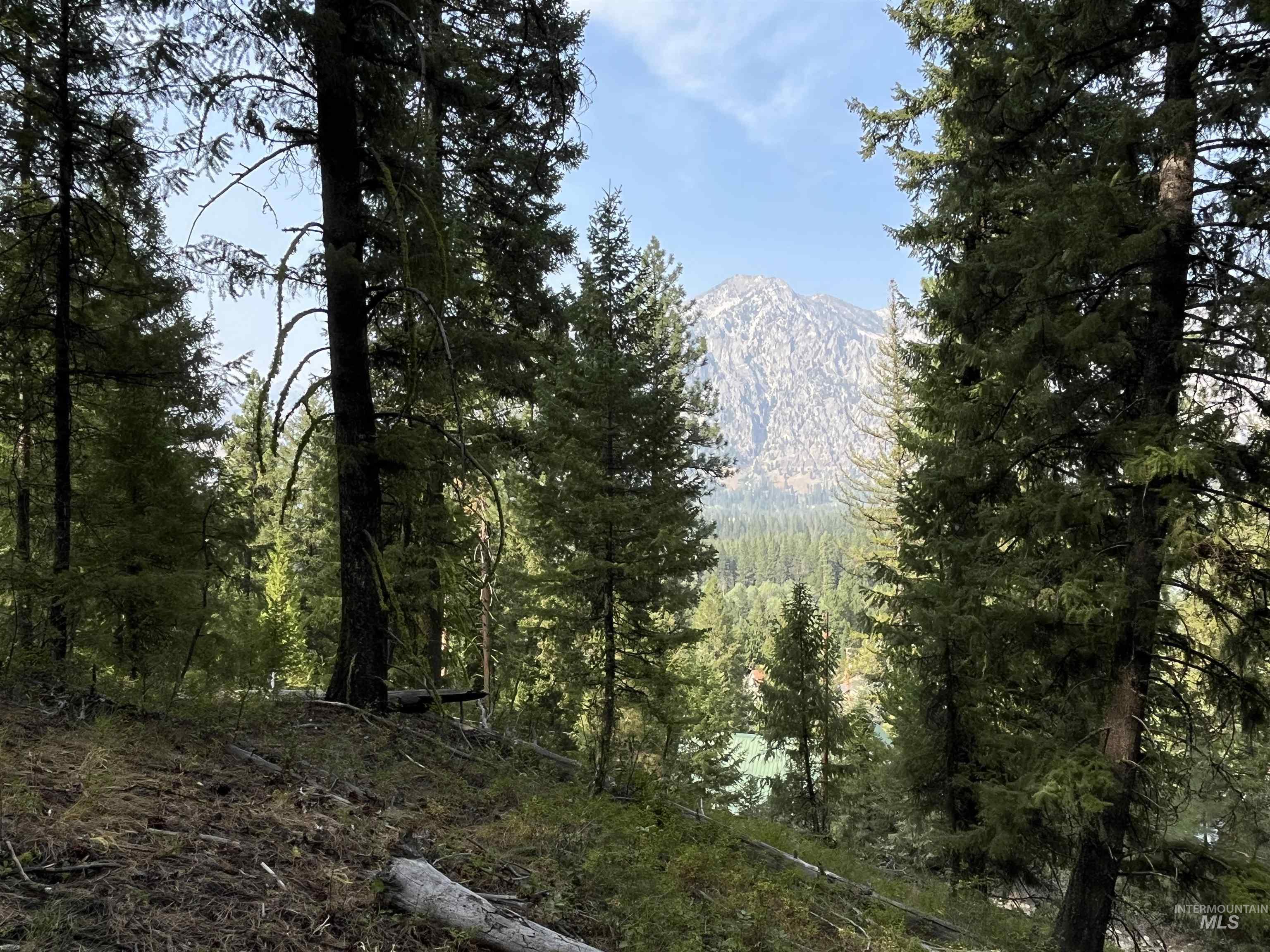 TBD Alturas, Atlanta, Idaho 83601, Land For Sale, Price $76,000,MLS 98997351