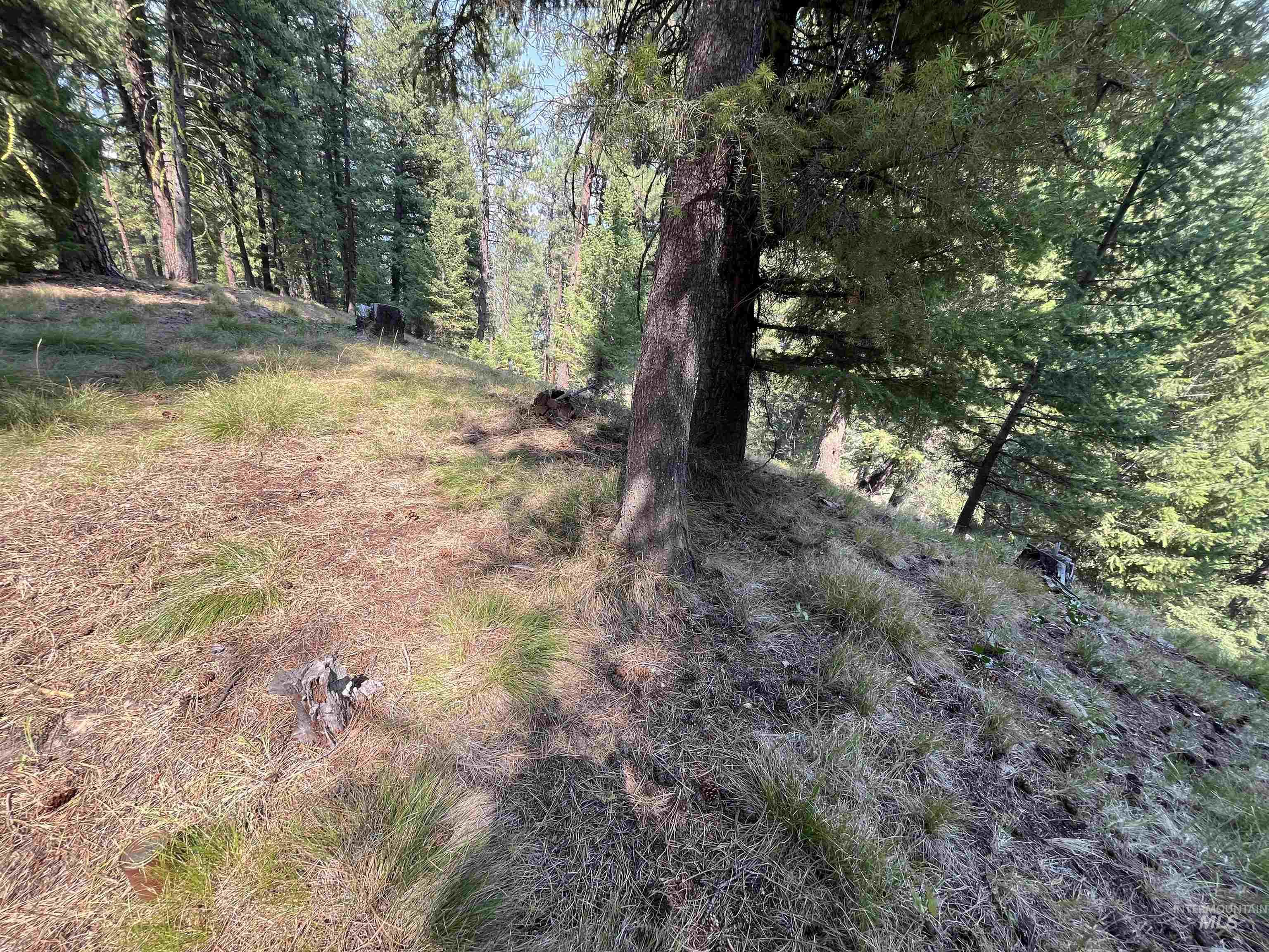 TBD Alturas, Atlanta, Idaho 83601, Land For Sale, Price $76,000,MLS 98997351