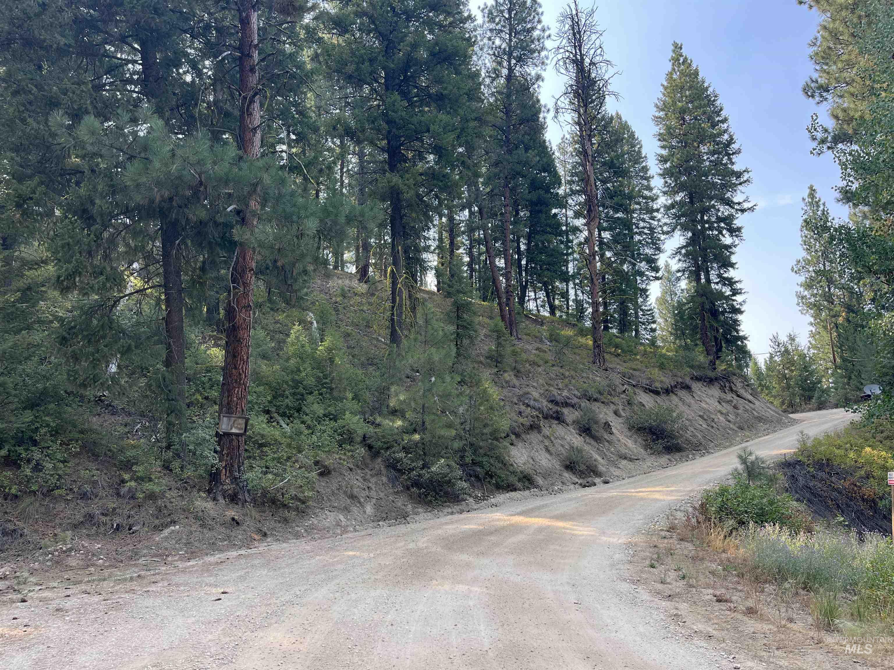 TBD Alturas, Atlanta, Idaho 83601, Land For Sale, Price $76,000,MLS 98997351