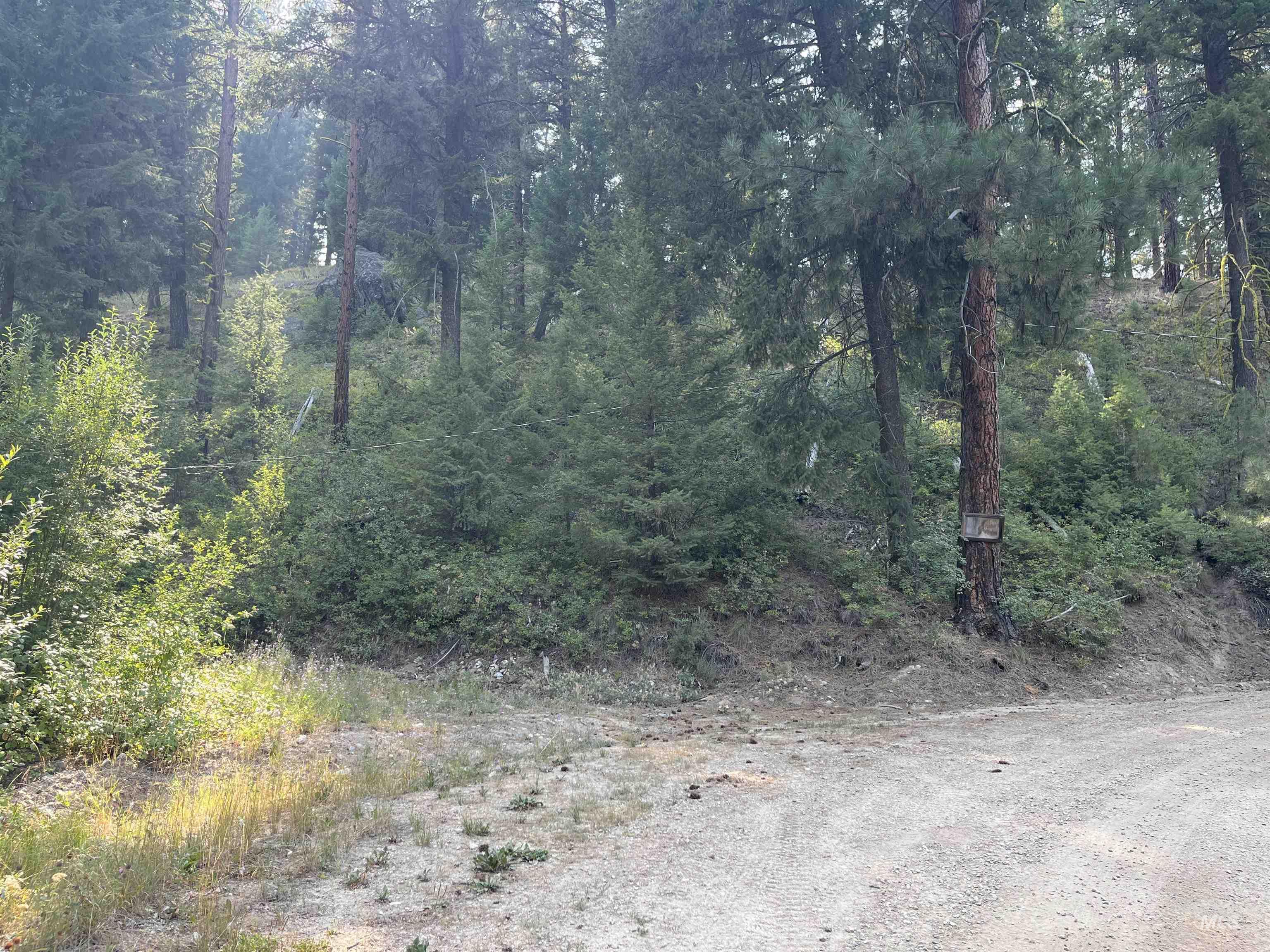 TBD Alturas, Atlanta, Idaho 83601, Land For Sale, Price $76,000,MLS 98997351