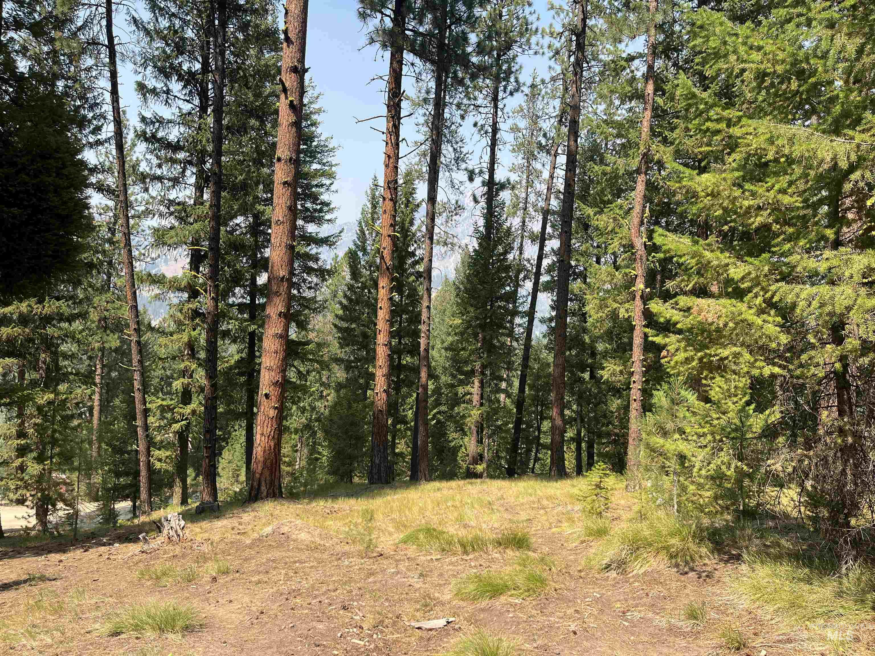 TBD Alturas, Atlanta, Idaho 83601, Land For Sale, Price $76,000,MLS 98997351