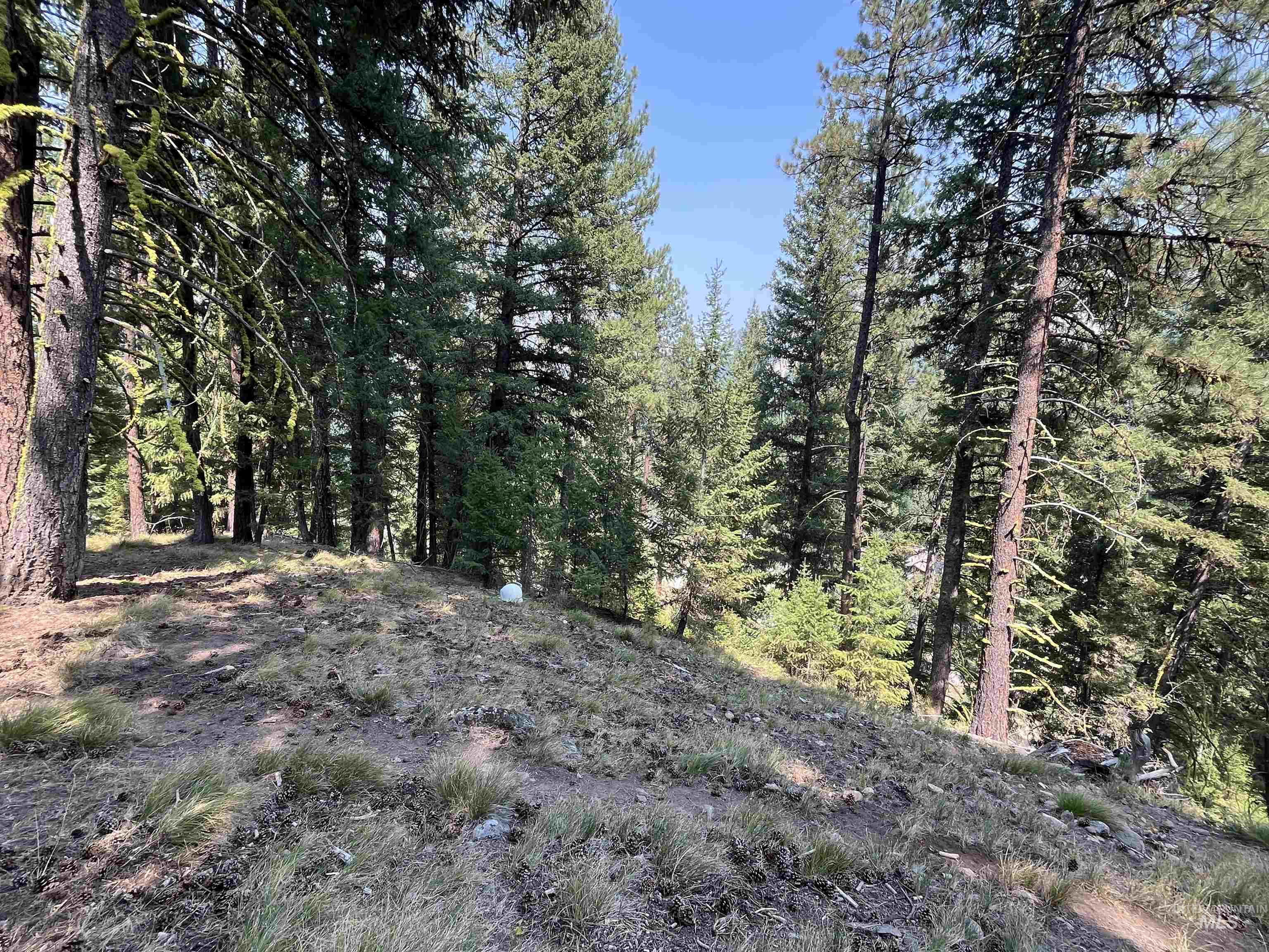 TBD Alturas, Atlanta, Idaho 83601, Land For Sale, Price $76,000,MLS 98997351