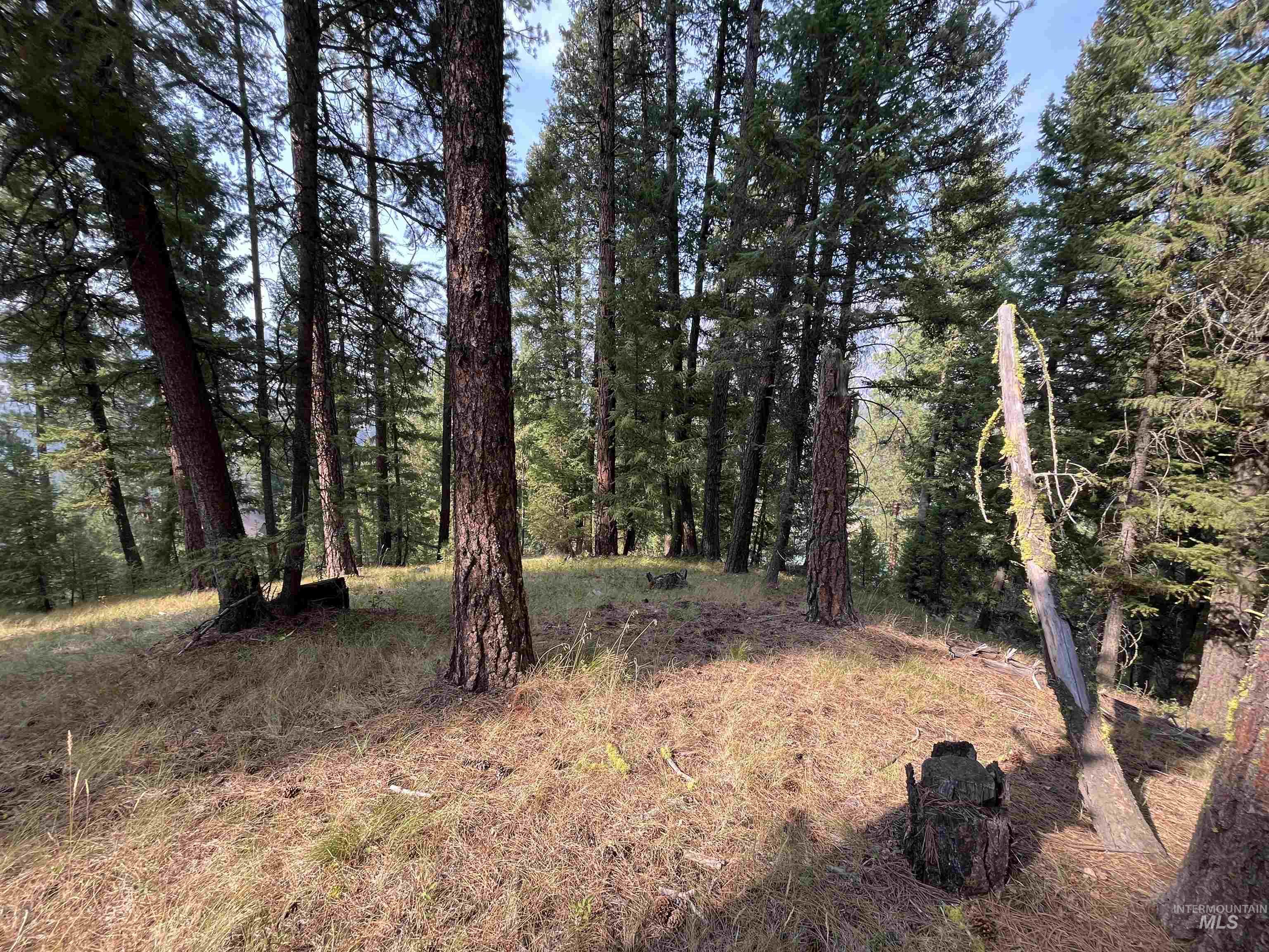 TBD Alturas, Atlanta, Idaho 83601, Land For Sale, Price $76,000,MLS 98997351