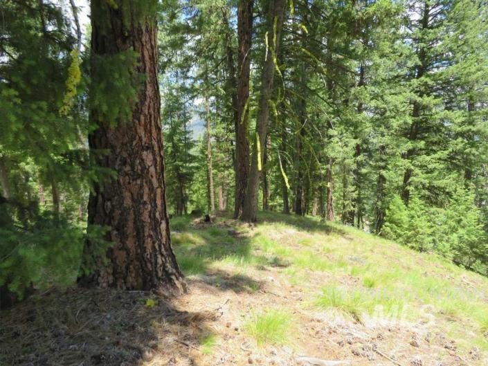TBD Alturas, Atlanta, Idaho 83601, Land For Sale, Price $76,000,MLS 98997351