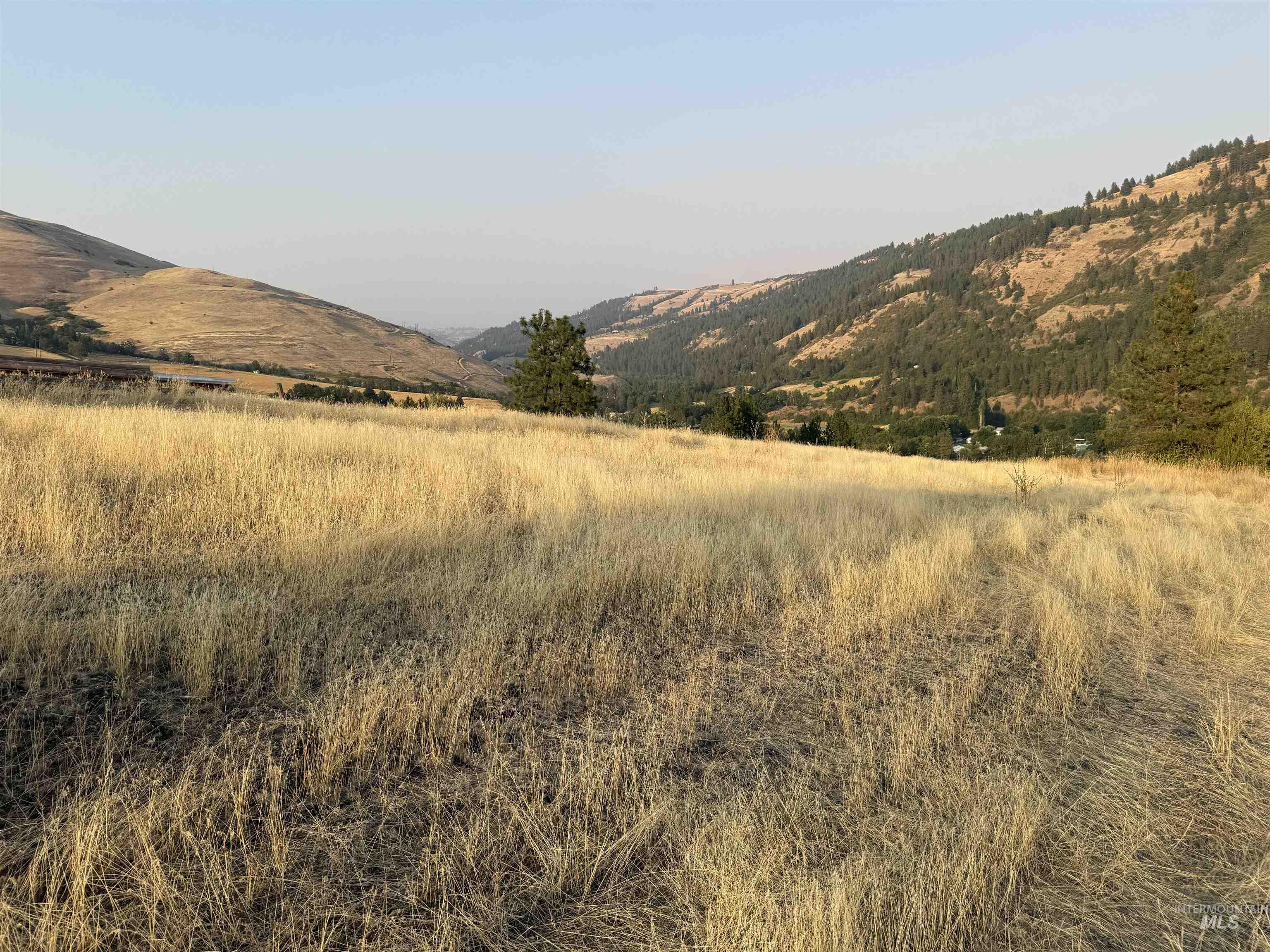TBD McCall St, Juliaetta, Idaho 83535, Land For Sale, Price $149,900,MLS 98997373