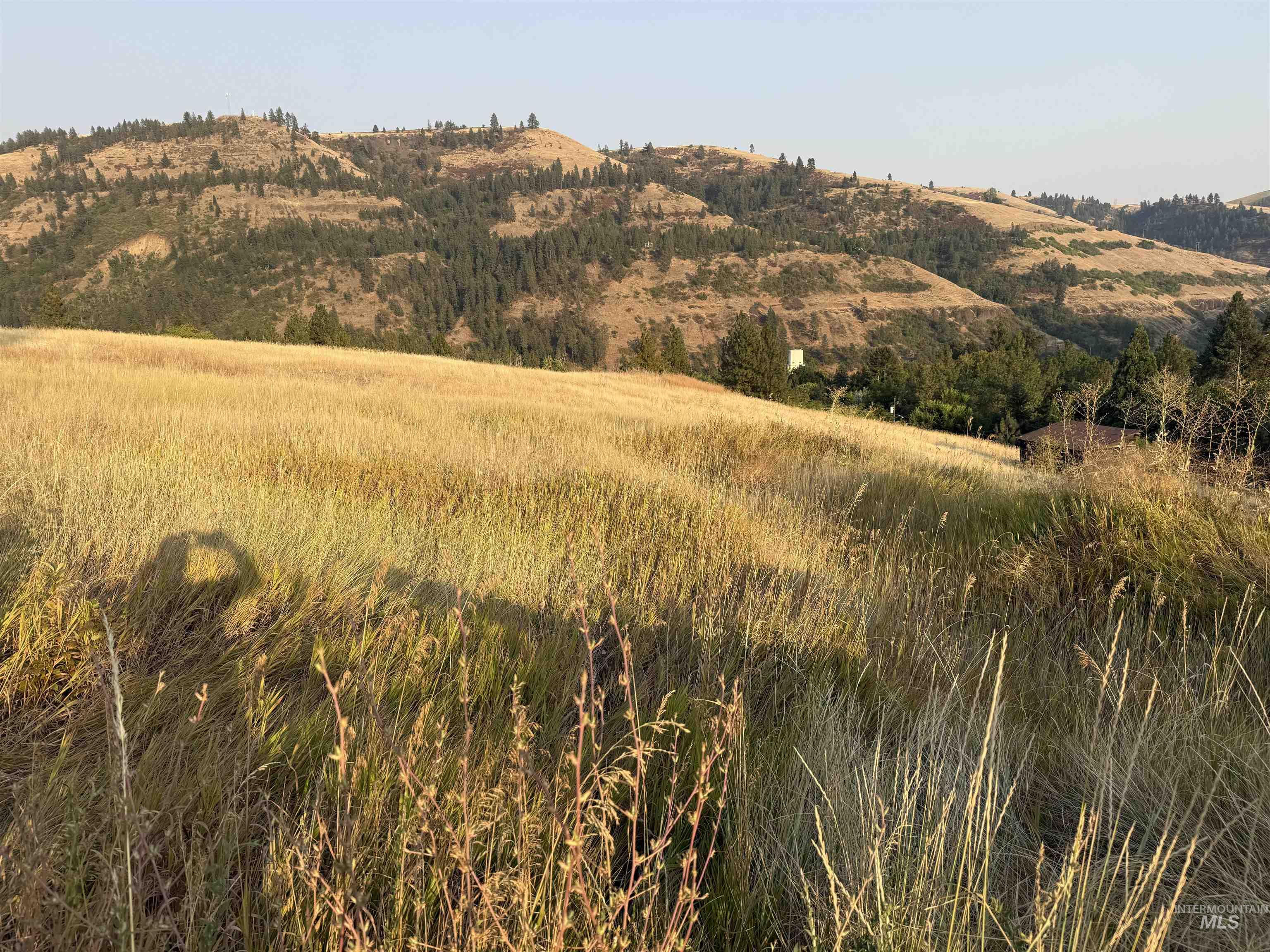 TBD McCall St, Juliaetta, Idaho 83535, Land For Sale, Price $149,900,MLS 98997373