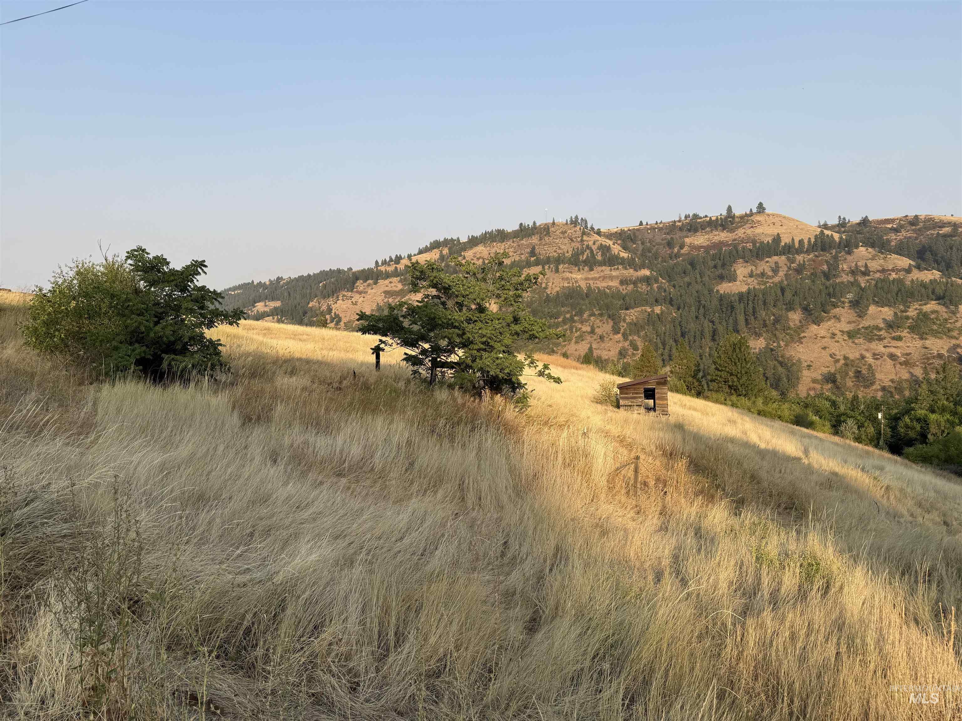 TBD McCall St, Juliaetta, Idaho 83535, Land For Sale, Price $149,900,MLS 98997373