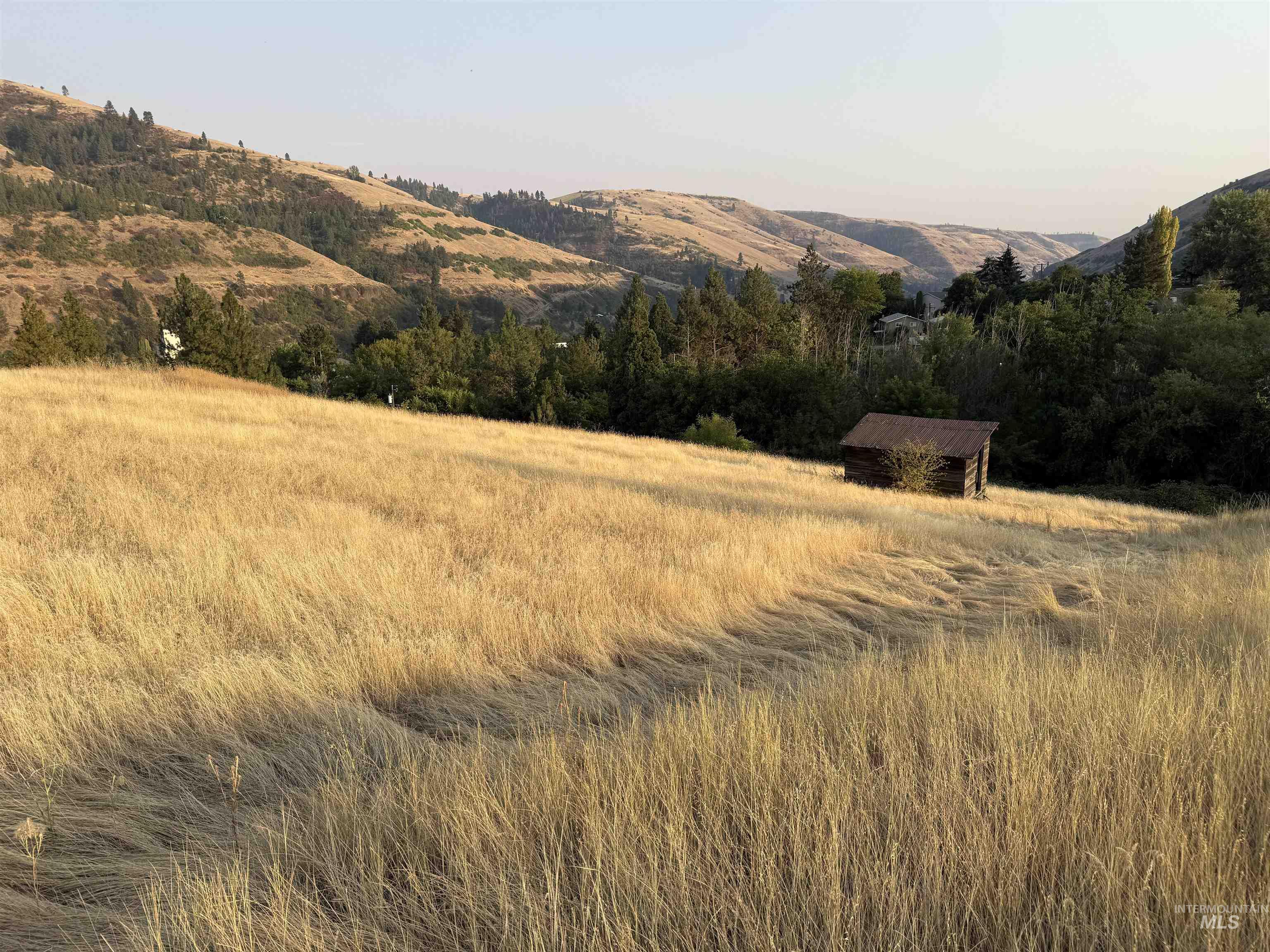 TBD McCall St, Juliaetta, Idaho 83535, Land For Sale, Price $149,900,MLS 98997373