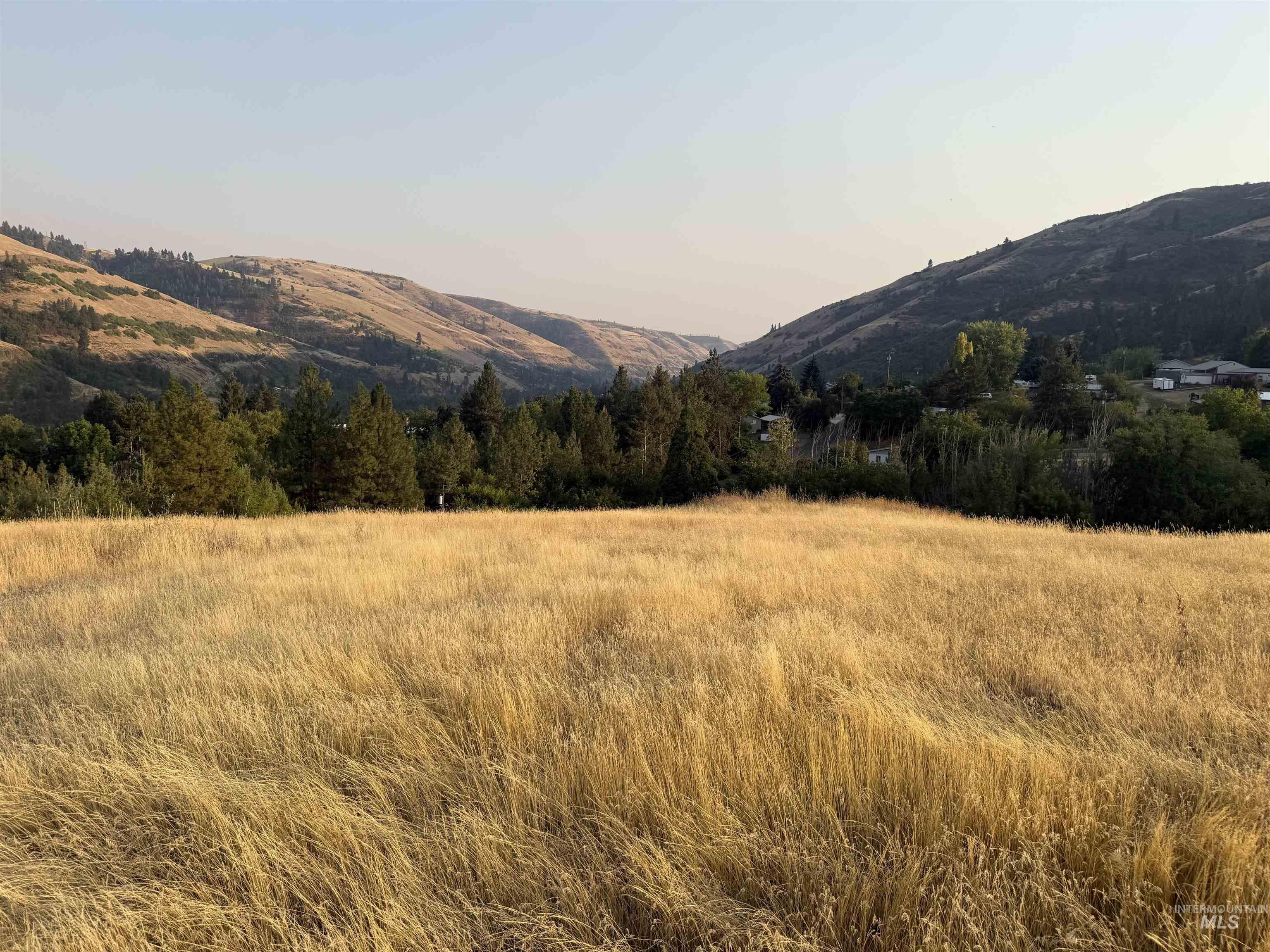 TBD McCall St, Juliaetta, Idaho 83535, Land For Sale, Price $149,900,MLS 98997373