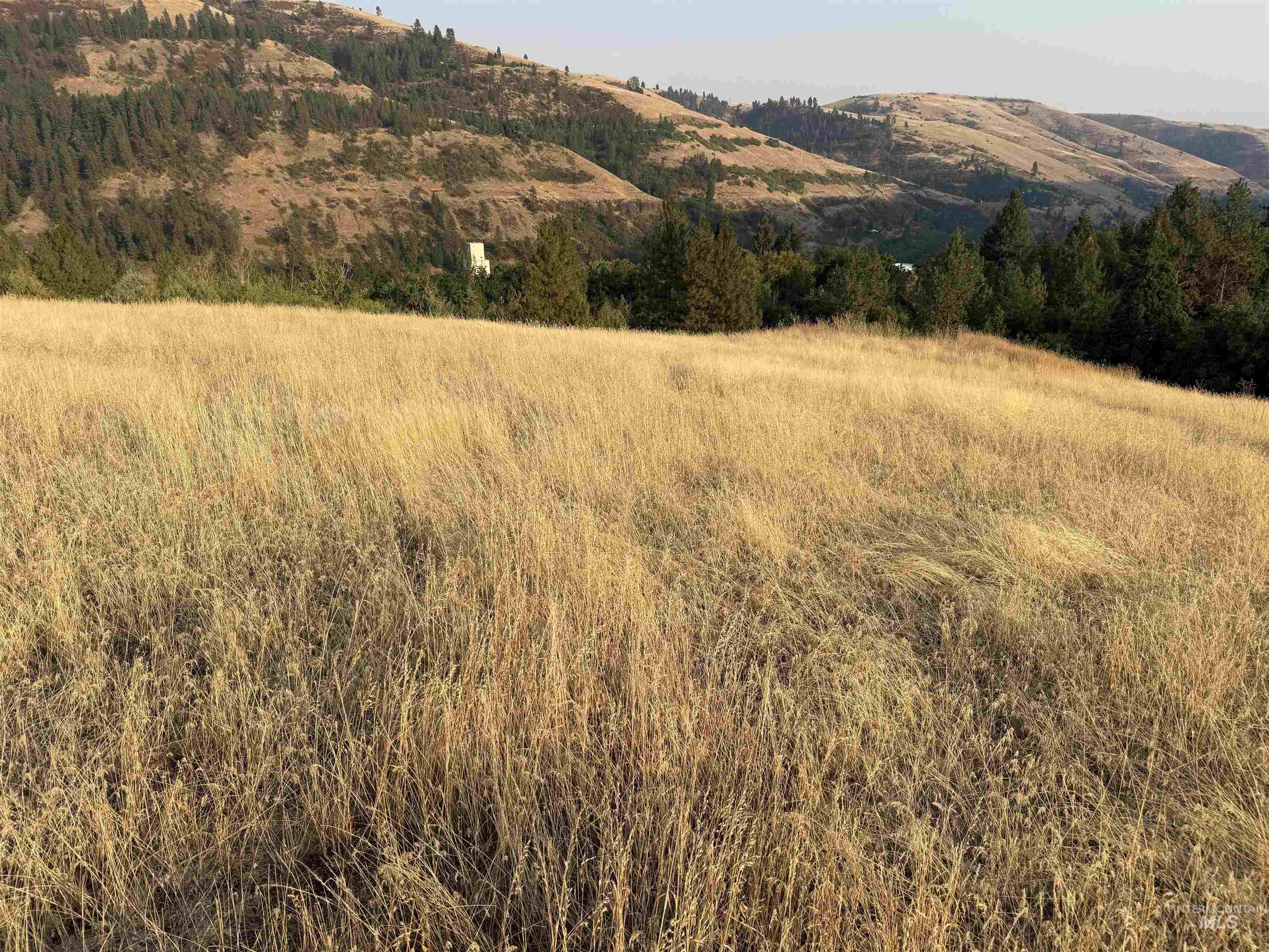 TBD McCall St, Juliaetta, Idaho 83535, Land For Sale, Price $149,900,MLS 98997373