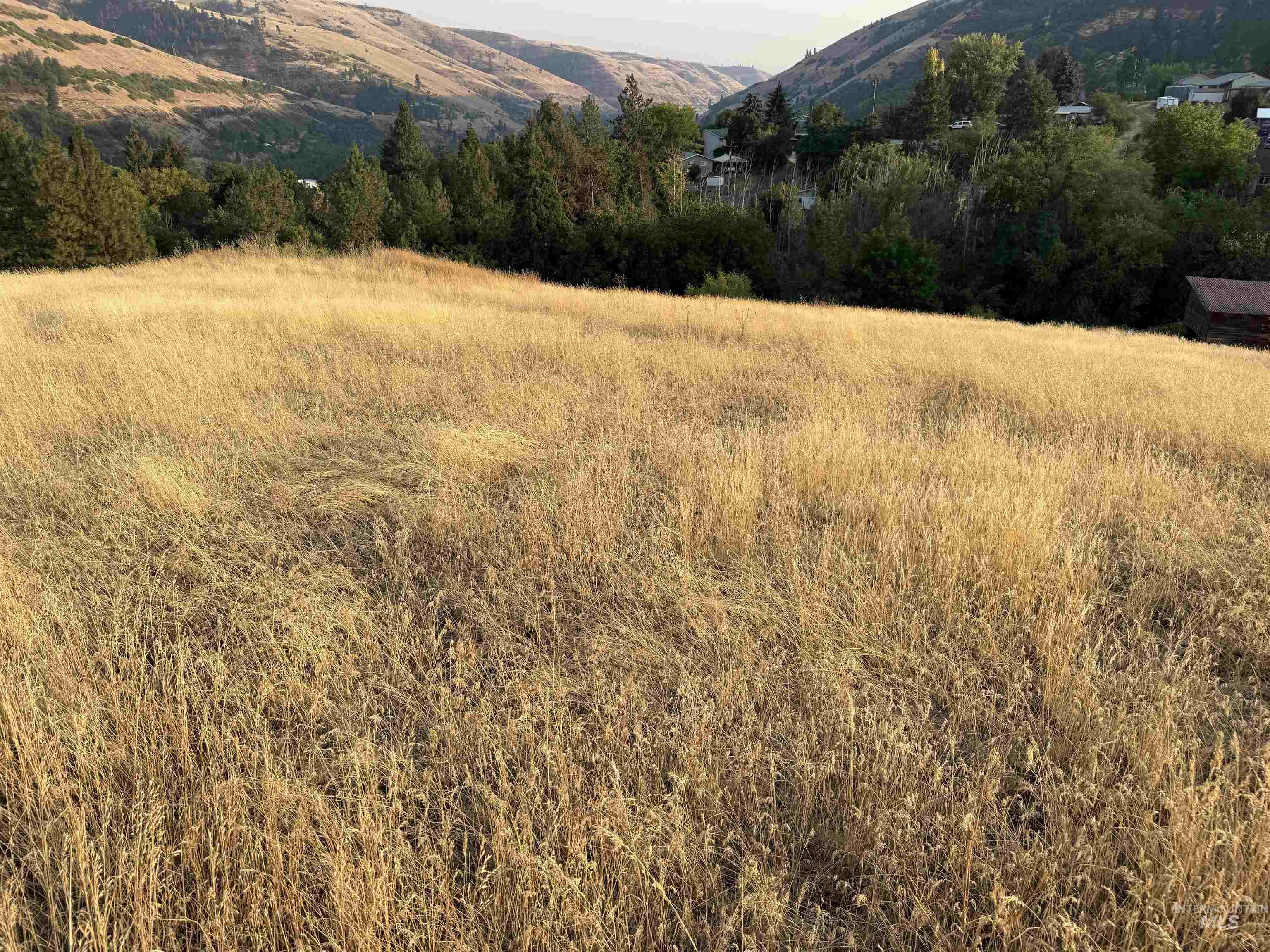 TBD McCall St, Juliaetta, Idaho 83535, Land For Sale, Price $149,900,MLS 98997373
